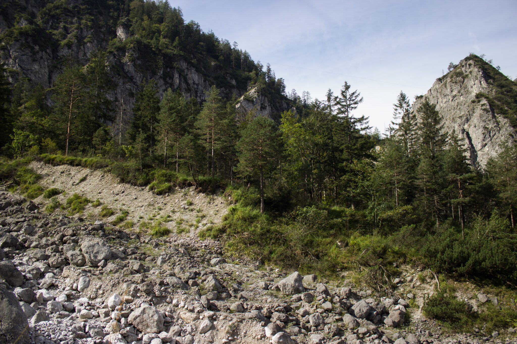 Wanderung zur Haindlkarhütte und Gsengscharte im Nationalpark Gesäuse im Bundesland Steiermark in Österreich, Wanderweg in den Ennstaler Alpen ab Parkplatz Haindlkarhütte vom Gstatterboden, Blick auf Geröllfeld mit großen Steinen, umgeben von Vegetation und Bergen im Gesäuse