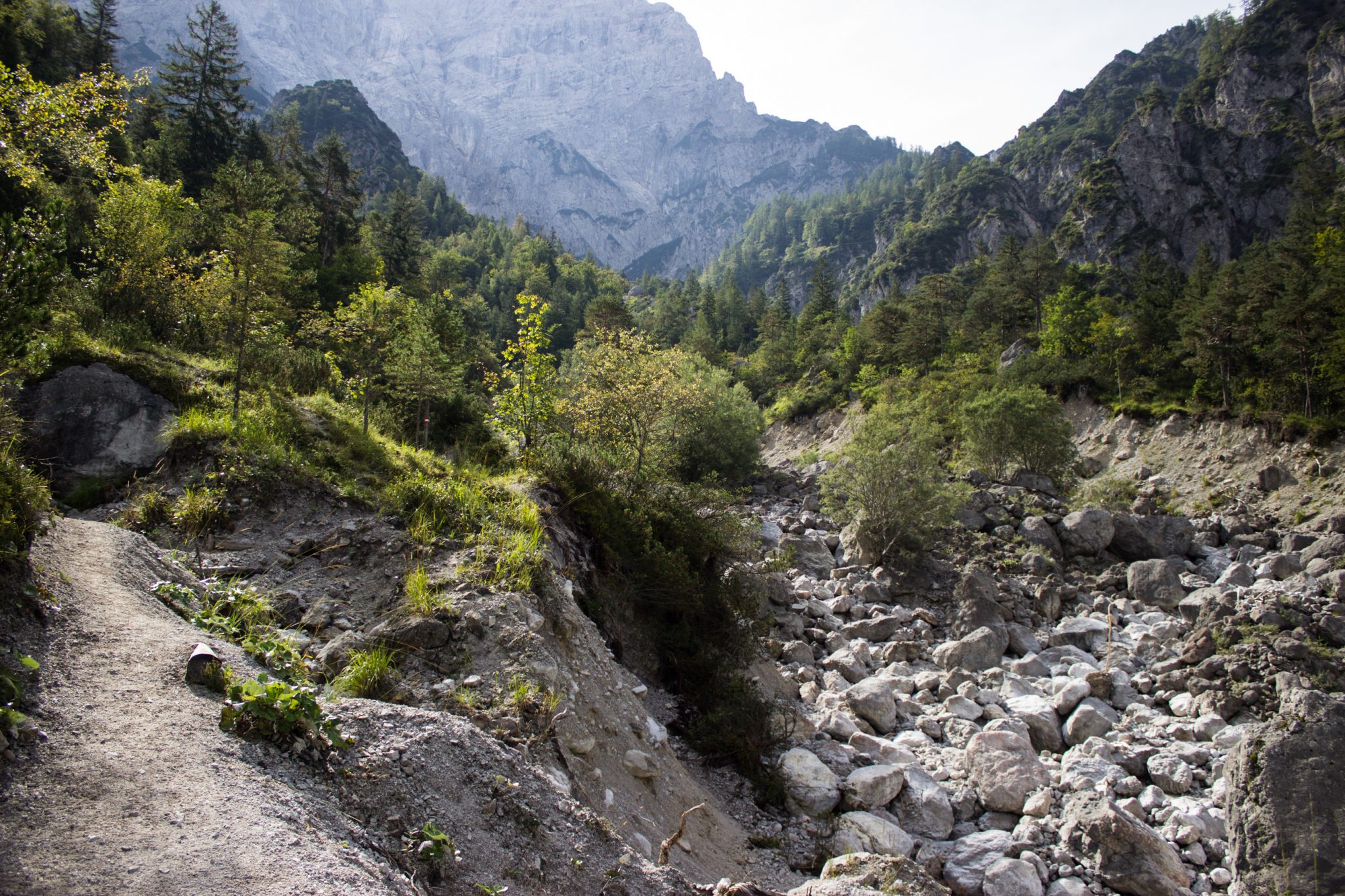 Wanderung zur Haindlkarhütte und Gsengscharte im Nationalpark Gesäuse im Bundesland Steiermark in Österreich, Wanderweg in den Ennstaler Alpen ab Parkplatz Haindlkarhütte vom Gstatterboden, Blick auf den Wanderweg zur Haindlkarhütte, steil abfallend zum Geröllfeld mit großen Steinen, umgeben von Vegetation und Bergen im Gesäuse