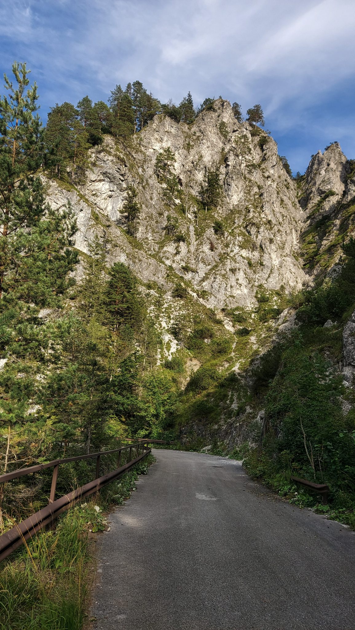 Wanderung zur Haindlkarhütte und Gsengscharte im Nationalpark Gesäuse im Bundesland Steiermark in Österreich, Wanderweg in den Ennstaler Alpen ab Parkplatz Haindlkarhütte vom Gstatterboden, Blick auf die Straße während des Rückwegs zum Parkplatz der Haindlkarhütte  mit Aussicht auf die schöne Bergwelt im Gesäuse