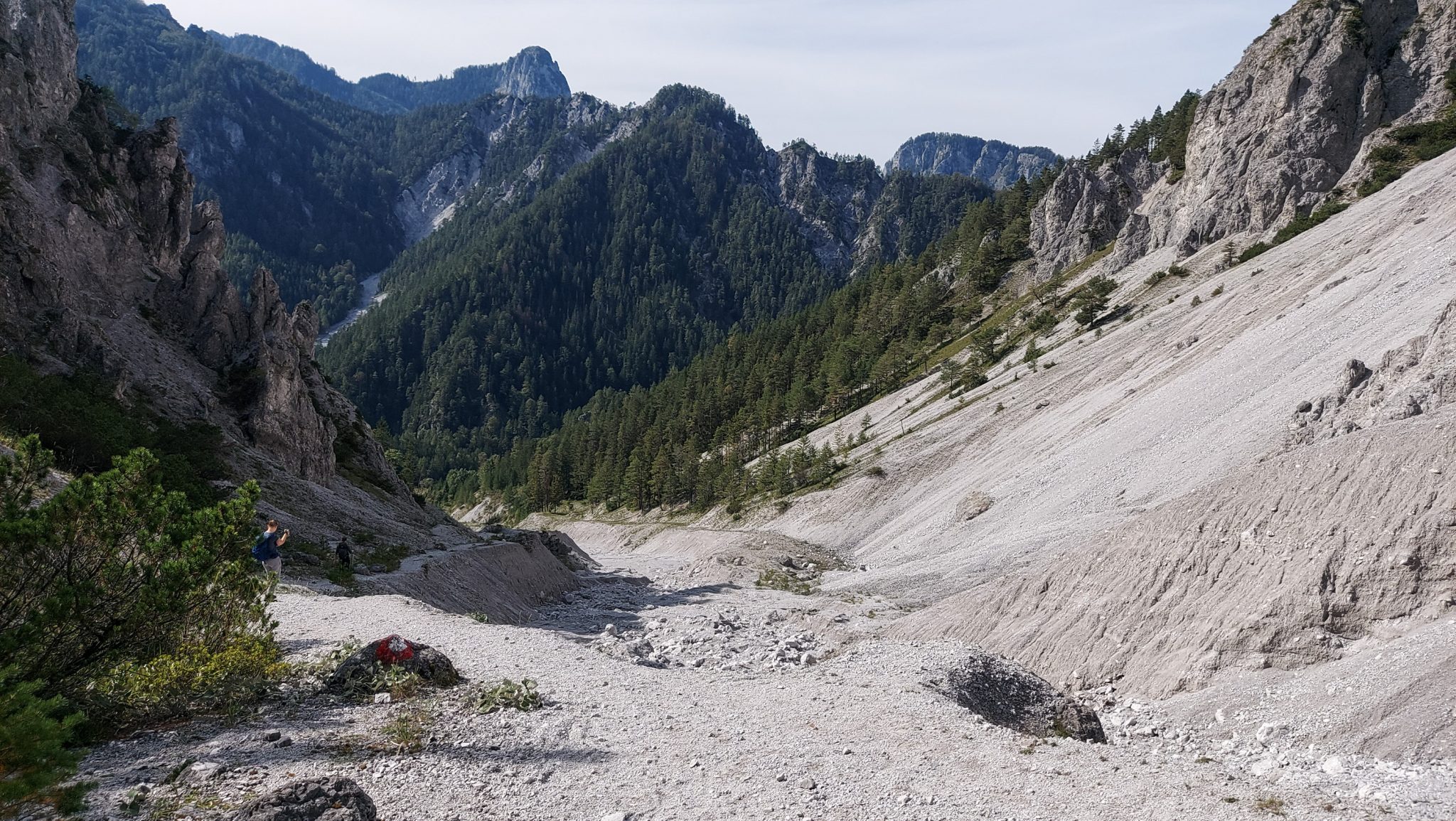 Wanderung zur Haindlkarhütte und Gsengscharte im Nationalpark Gesäuse im Bundesland Steiermark in Österreich, Wanderweg in den Ennstaler Alpen ab Parkplatz Haindlkarhütte vom Gstatterboden, Blick auf die beeindruckende Bergwelt im Gesäuse, nach dem Abstieg von der Gsengscharte ebnet sich der Weg zunehmend mit Erreichen des Tals, Berge türmen sich vor einem auf