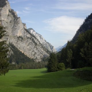 Wandern im Nationalpark Gesäuse - Rundweg mit Goferhütte im Bundesland Steiermark in Österreich, Wanderweg in den Ennstaler Alpen, nach Erreichen der Vordergoferalm geht es in Serpentinen runter ins Tal im Nationalpark Gesäuse, Wanderer auf Forststraße im Tal umgeben von Wald, saftig grünen Wiesen und steil aufragenden Bergen