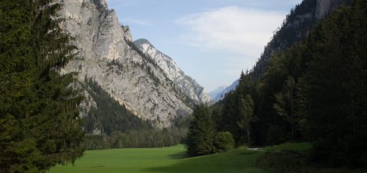 Wandern im Nationalpark Gesäuse - Rundweg mit Goferhütte im Bundesland Steiermark in Österreich, Wanderweg in den Ennstaler Alpen, nach Erreichen der Vordergoferalm geht es in Serpentinen runter ins Tal im Nationalpark Gesäuse, Wanderer auf Forststraße im Tal umgeben von Wald, saftig grünen Wiesen und steil aufragenden Bergen