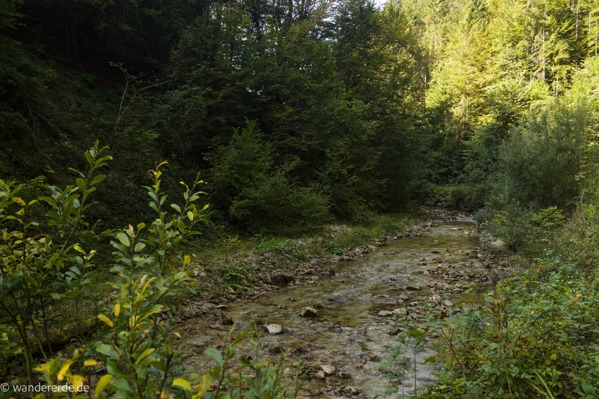 Im Tal des Holzes - familienfreundliche Rundwanderung durch das Weißenbachtal mit Buchenwäldern im Nationalpark Kalkalpen in Oberösterreich, Wanderung befindet sich in der Nähe des Ortes Reichraming, Blick auf den Weißenbach mit klarem sauberem Wasser, umgeben von grünen und dichten Wäldern, sehr schöne Natur