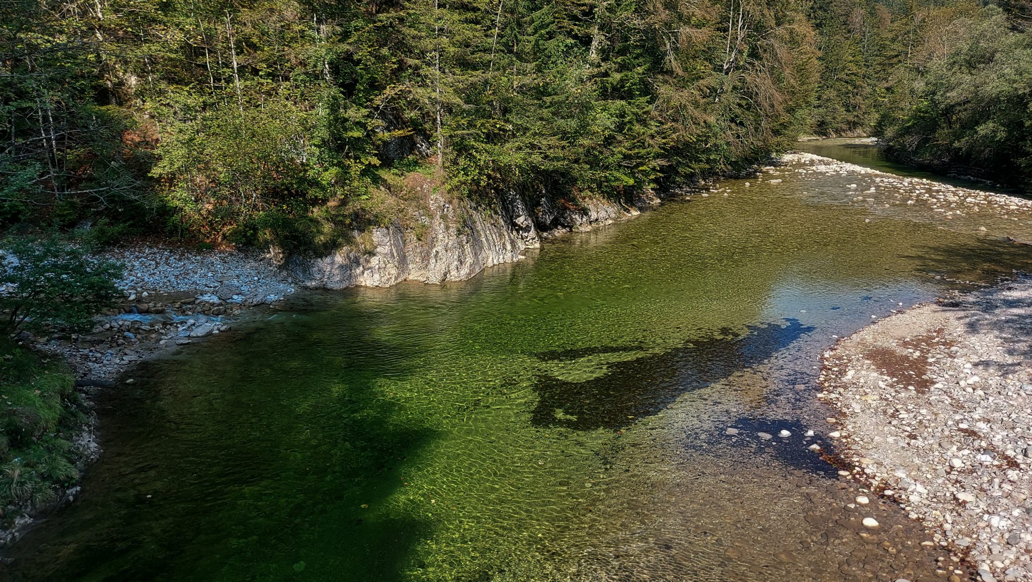 Im Tal des Holzes - familienfreundliche Rundwanderung durch das Weißenbachtal mit Buchenwäldern im Nationalpark Kalkalpen in Oberösterreich, Wanderung befindet sich in der Nähe des Ortes Reichraming, Blick auf den Weißenbach mit klarem sauberem Wasser, umgeben von grünen und dichten Wäldern, sehr schöne Natur