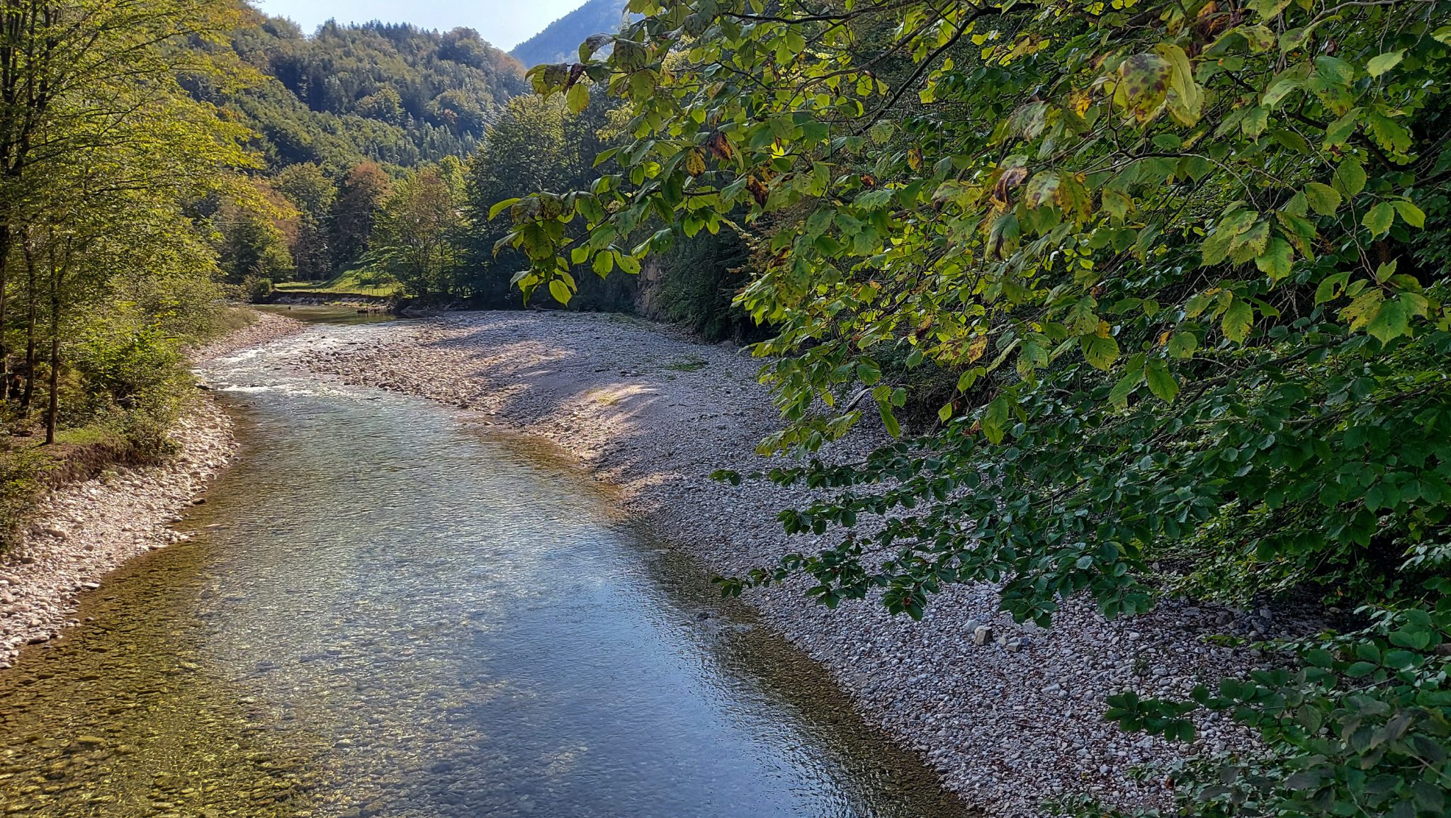 Im Tal des Holzes - familienfreundliche Rundwanderung durch das Weißenbachtal mit Buchenwäldern im Nationalpark Kalkalpen in Oberösterreich, Wanderung befindet sich in der Nähe des Ortes Reichraming, Blick auf den Weißenbach mit klarem sauberem Wasser, umgeben von grünen und dichten Wäldern, sehr schöne Natur