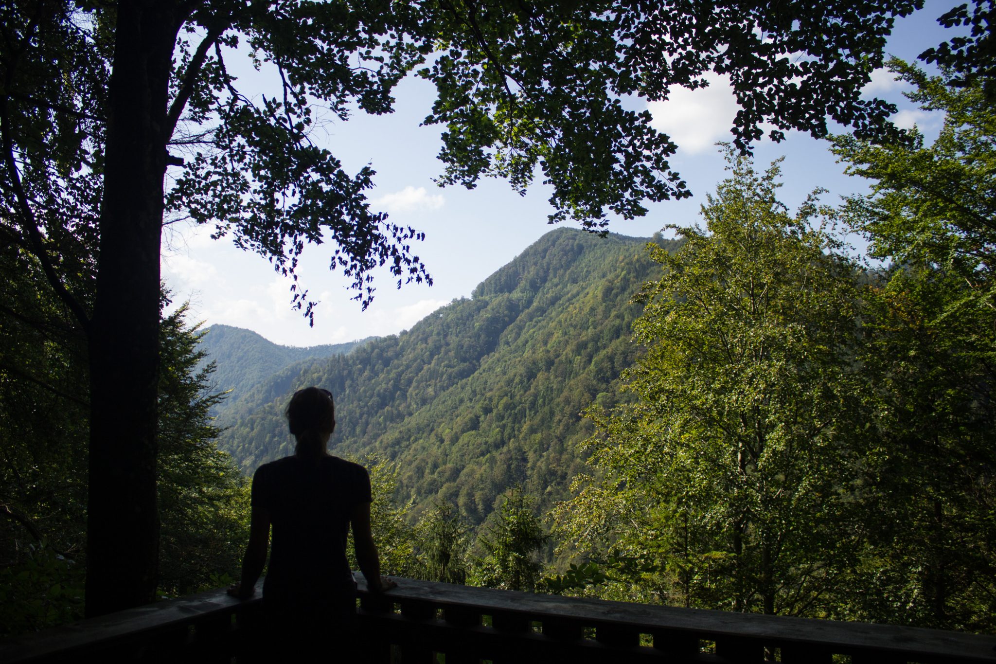 Im Tal des Holzes - familienfreundliche Rundwanderung durch das Weißenbachtal mit Buchenwäldern im Nationalpark Kalkalpen in Oberösterreich, Wanderung befindet sich in der Nähe des Ortes Reichraming, Aussichtspunkt auf die Bergwelt im Nationalpark Kalkalpen, der Wanderweg Im Tal des Holzes ist umgeben von grünem und dichtem Wald, grüne Vegetation, sehr schöne Natur