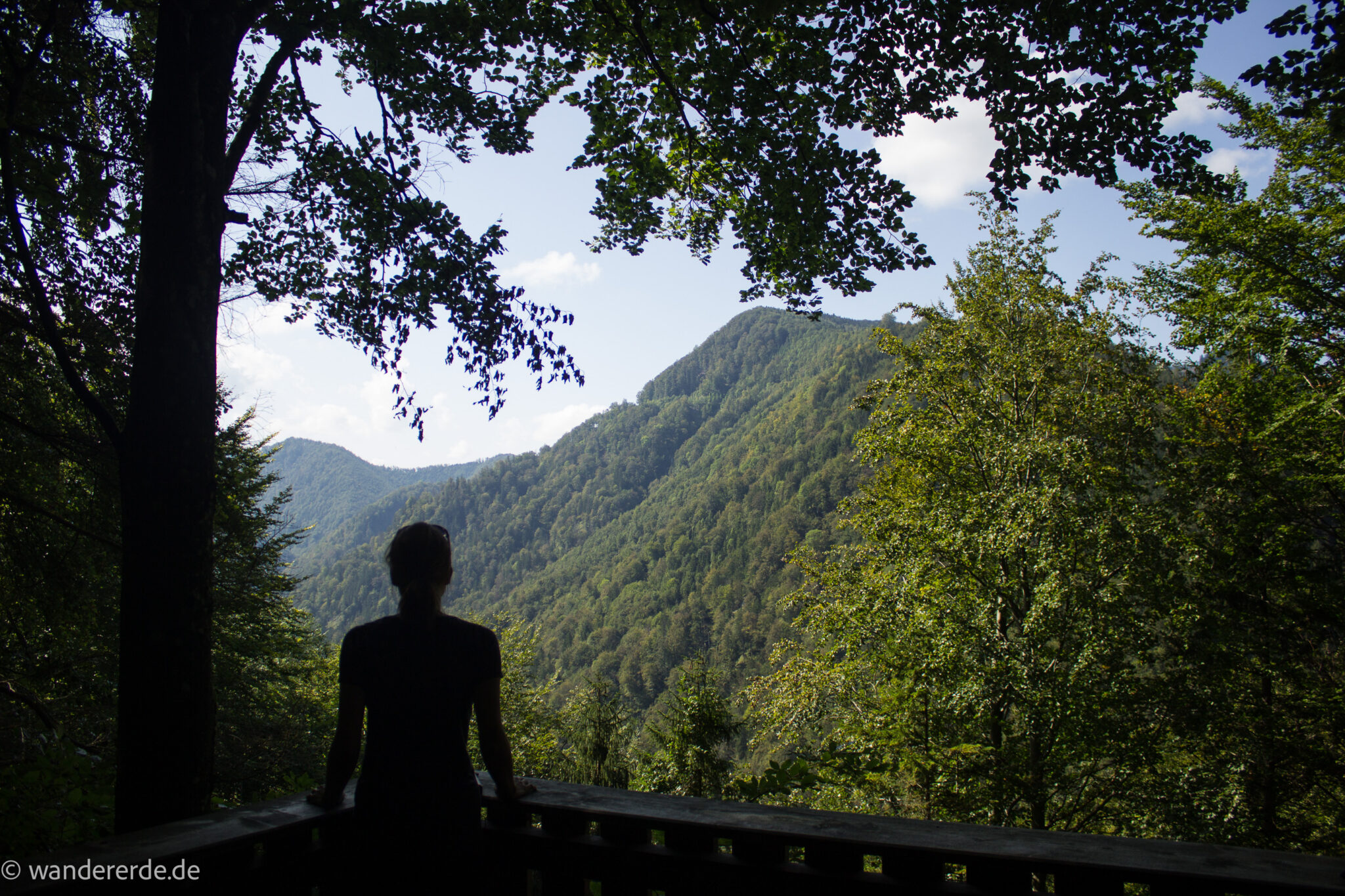 Im Tal des Holzes - familienfreundliche Rundwanderung durch das Weißenbachtal mit Buchenwäldern im Nationalpark Kalkalpen in Oberösterreich, Wanderung befindet sich in der Nähe des Ortes Reichraming, Aussichtspunkt auf die Bergwelt im Nationalpark Kalkalpen, der Wanderweg Im Tal des Holzes ist umgeben von grünem und dichtem Wald, grüne Vegetation, sehr schöne Natur