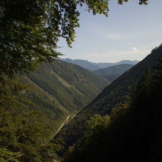 Im Tal des Holzes - familienfreundliche Rundwanderung durch das Weißenbachtal mit Buchenwäldern im Nationalpark Kalkalpen in Oberösterreich, Wanderung befindet sich in der Nähe des Ortes Reichraming, unterwegs auf dem Wanderweg Im Tal des Holzes, Aussichtspunkt umgeben von grünem und dichtem Wald, grüne Vegetation, sehr schöne Natur, Aussicht auf die Berge im Nationalpark Kalkalpen