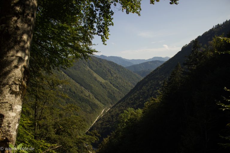 Im Tal des Holzes - familienfreundliche Rundwanderung durch das Weißenbachtal mit Buchenwäldern im Nationalpark Kalkalpen in Oberösterreich, Wanderung befindet sich in der Nähe des Ortes Reichraming, unterwegs auf dem Wanderweg Im Tal des Holzes, Aussichtspunkt umgeben von grünem und dichtem Wald, grüne Vegetation, sehr schöne Natur, Aussicht auf die Berge im Nationalpark Kalkalpen