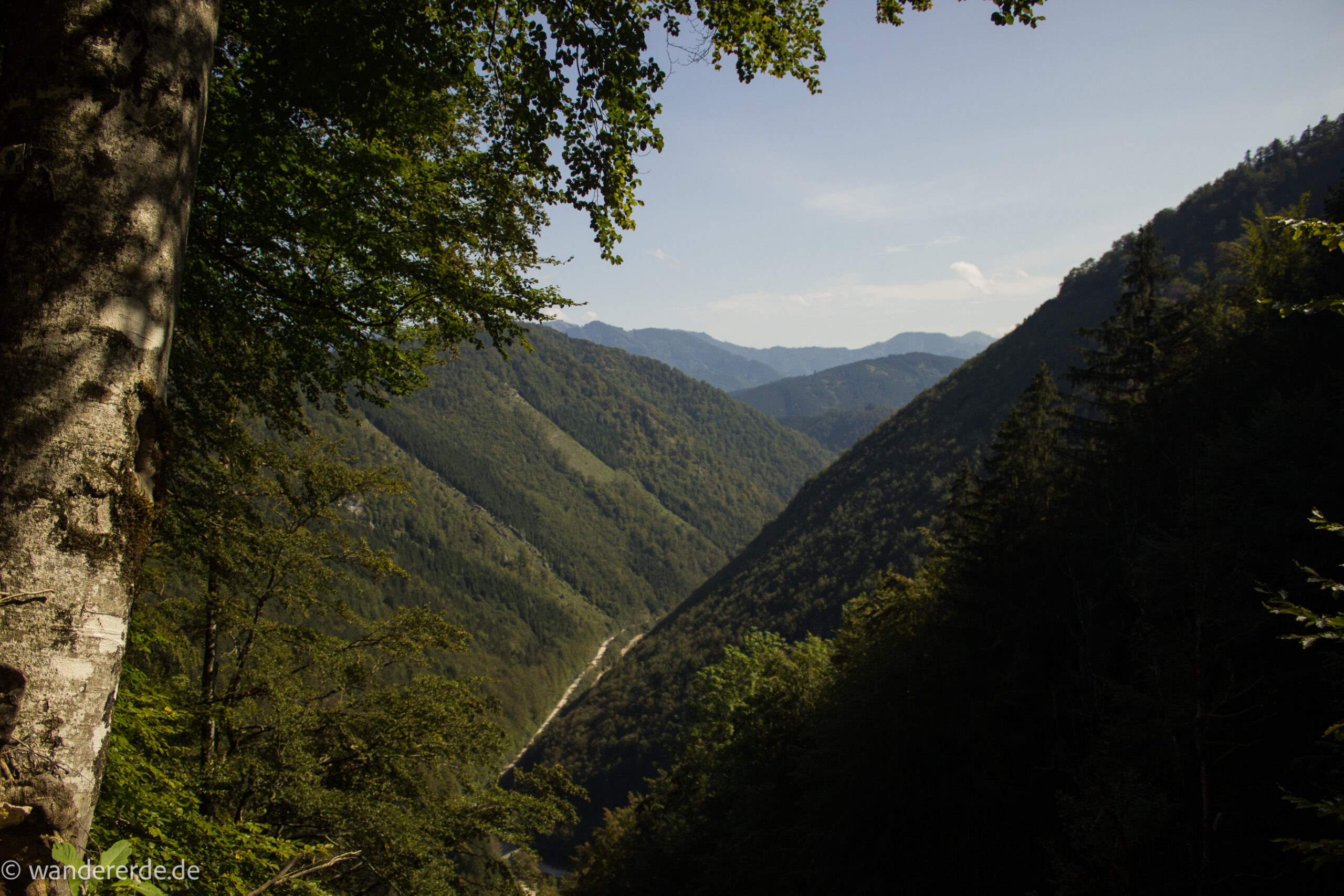 Im Tal des Holzes - familienfreundliche Rundwanderung durch das Weißenbachtal mit Buchenwäldern im Nationalpark Kalkalpen in Oberösterreich, Wanderung befindet sich in der Nähe des Ortes Reichraming, unterwegs auf dem Wanderweg Im Tal des Holzes, Aussichtspunkt umgeben von grünem und dichtem Wald, grüne Vegetation, sehr schöne Natur, Aussicht auf die Berge im Nationalpark Kalkalpen