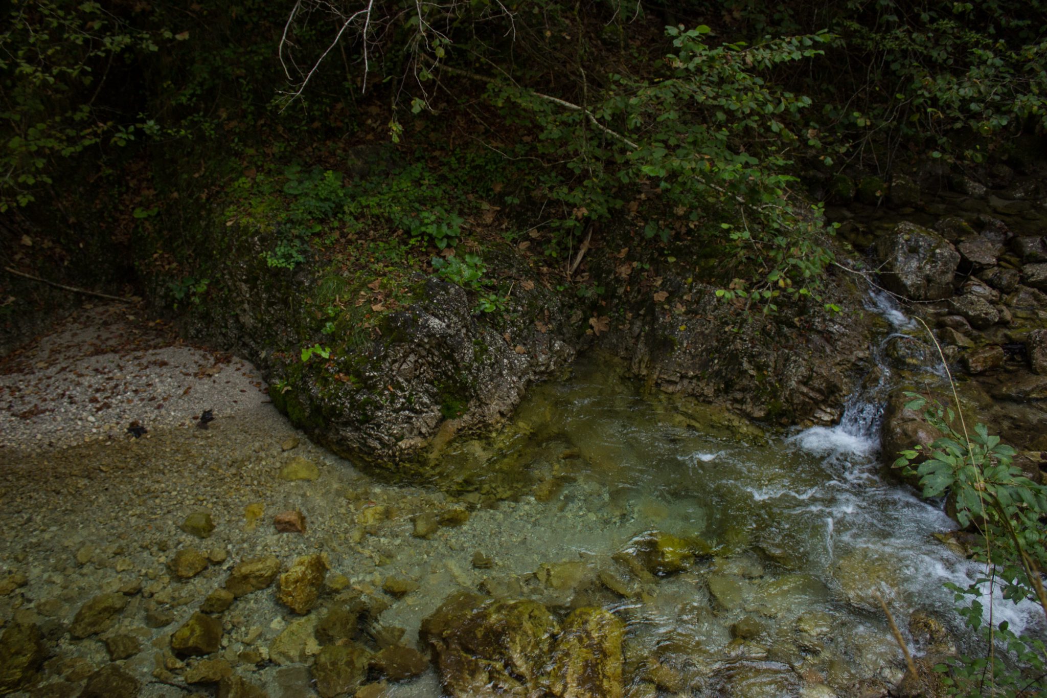 Im Tal des Holzes - familienfreundliche Rundwanderung durch das Weißenbachtal mit Buchenwäldern im Nationalpark Kalkalpen in Oberösterreich, Wanderung befindet sich in der Nähe des Ortes Reichraming, Blick auf den Weißenbach mit klarem sauberem Wasser, sehr schöne Natur