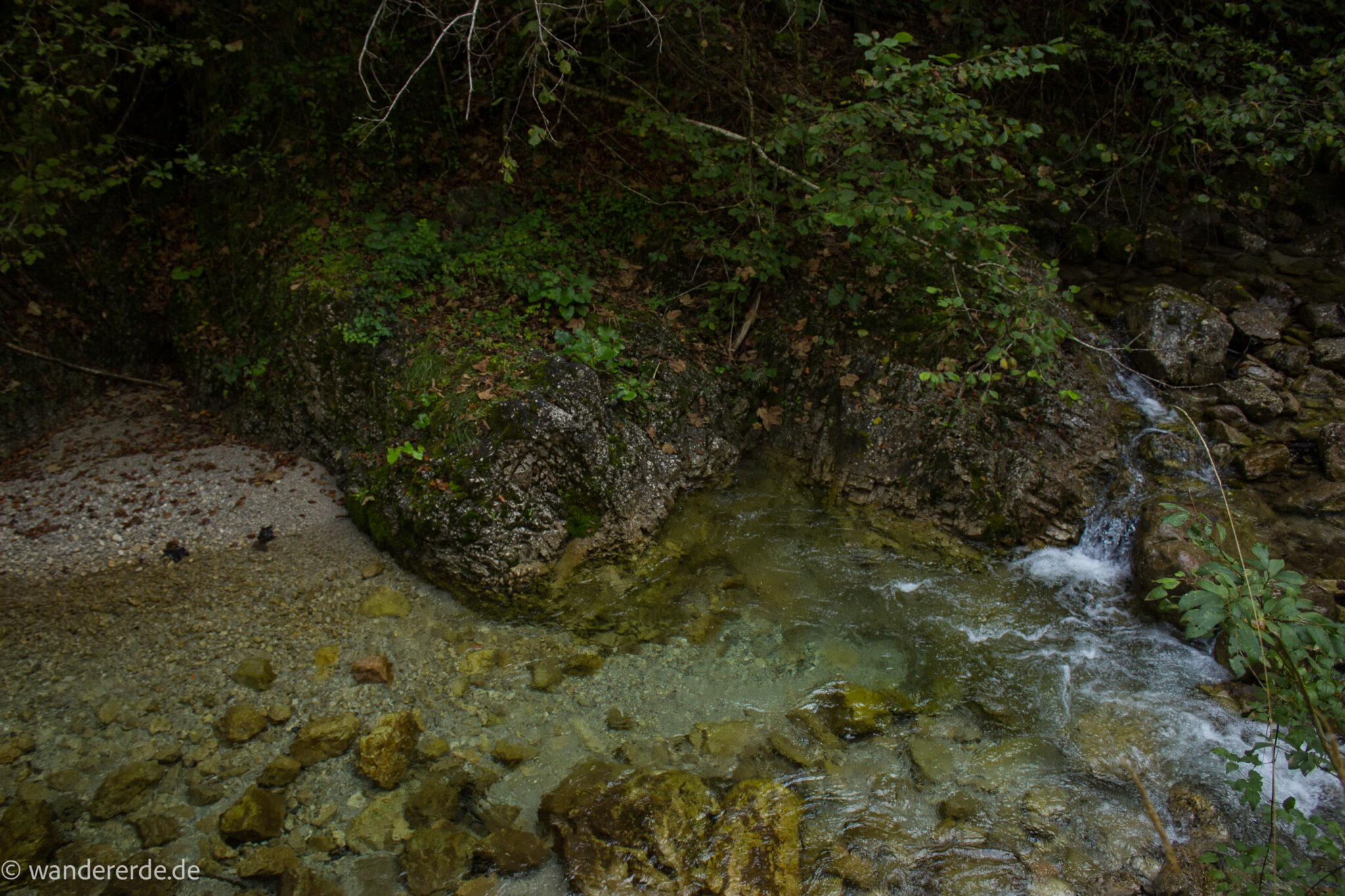 Im Tal des Holzes - familienfreundliche Rundwanderung durch das Weißenbachtal mit Buchenwäldern im Nationalpark Kalkalpen in Oberösterreich, Wanderung befindet sich in der Nähe des Ortes Reichraming, Blick auf den Weißenbach mit klarem sauberem Wasser, sehr schöne Natur