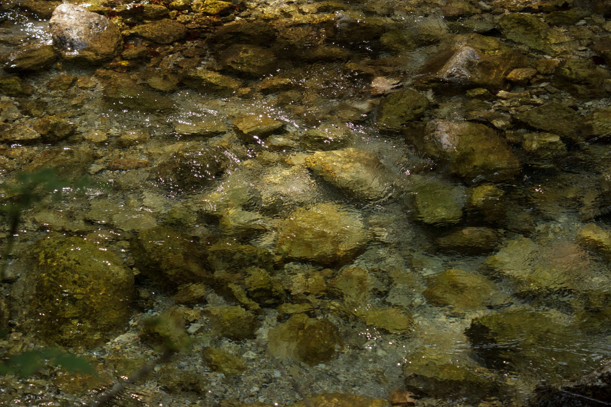 Im Tal des Holzes - familienfreundliche Rundwanderung durch das Weißenbachtal mit Buchenwäldern im Nationalpark Kalkalpen in Oberösterreich, Wanderung befindet sich in der Nähe des Ortes Reichraming, Blick auf den Weißenbach mit klarem sauberem Wasser, sehr schöne Natur