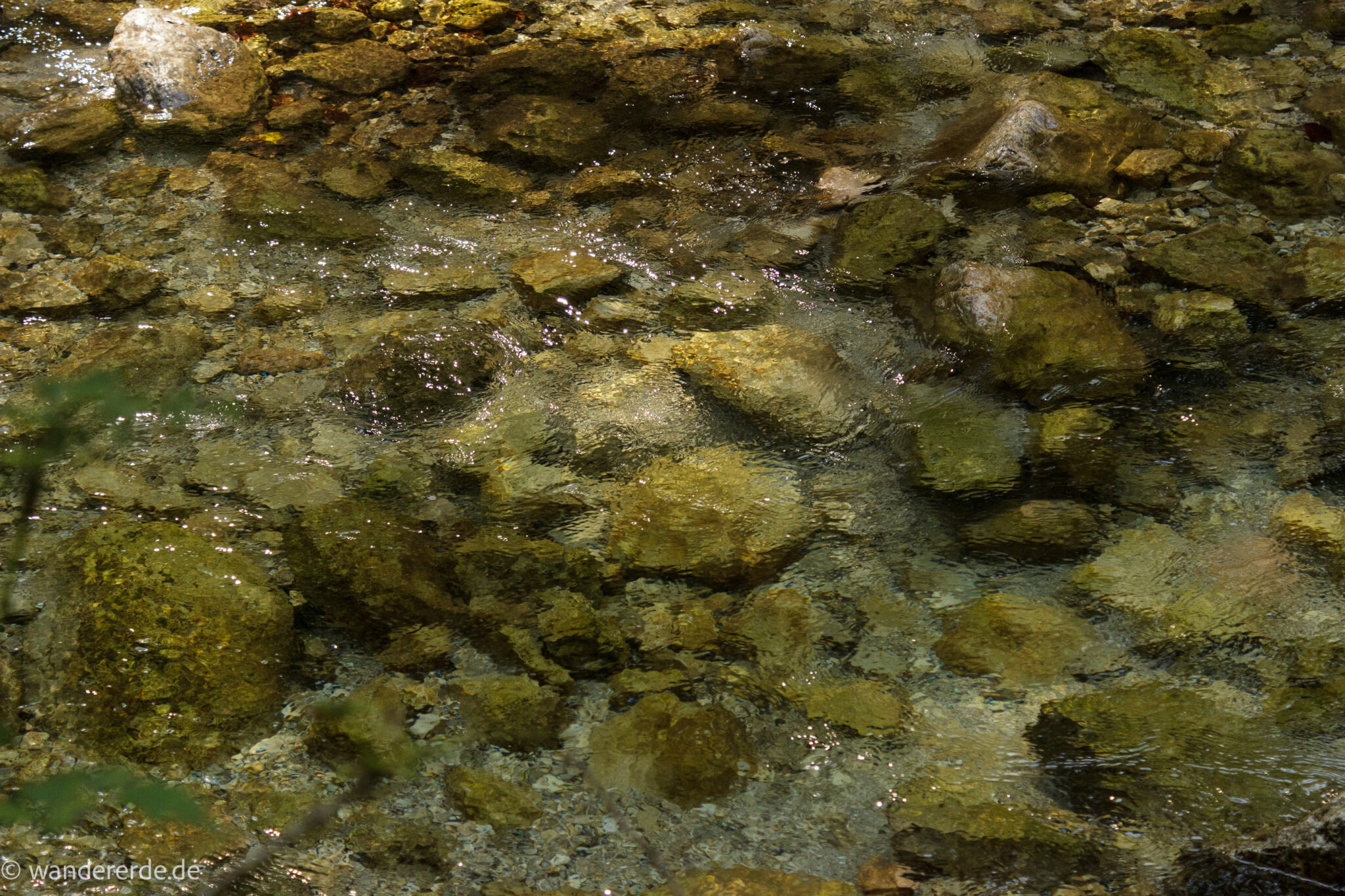 Im Tal des Holzes - familienfreundliche Rundwanderung durch das Weißenbachtal mit Buchenwäldern im Nationalpark Kalkalpen in Oberösterreich, Wanderung befindet sich in der Nähe des Ortes Reichraming, Blick auf den Weißenbach mit klarem sauberem Wasser, sehr schöne Natur