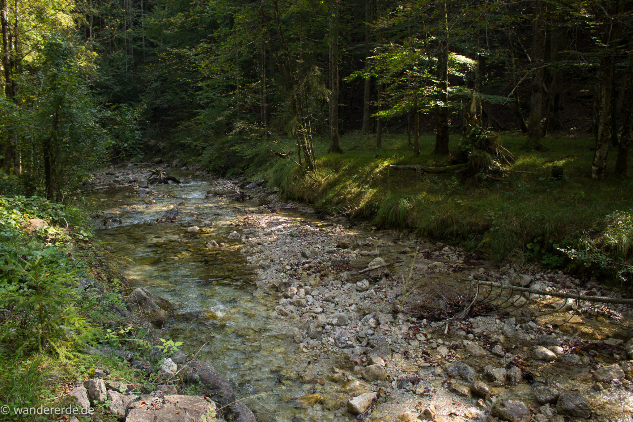 Im Tal des Holzes - familienfreundliche Rundwanderung durch das Weißenbachtal mit Buchenwäldern im Nationalpark Kalkalpen in Oberösterreich, Wanderung befindet sich in der Nähe des Ortes Reichraming, Blick auf den Weißenbach mit klarem sauberem Wasser, umgeben von grünen und dichten Wäldern, sehr schöne Natur