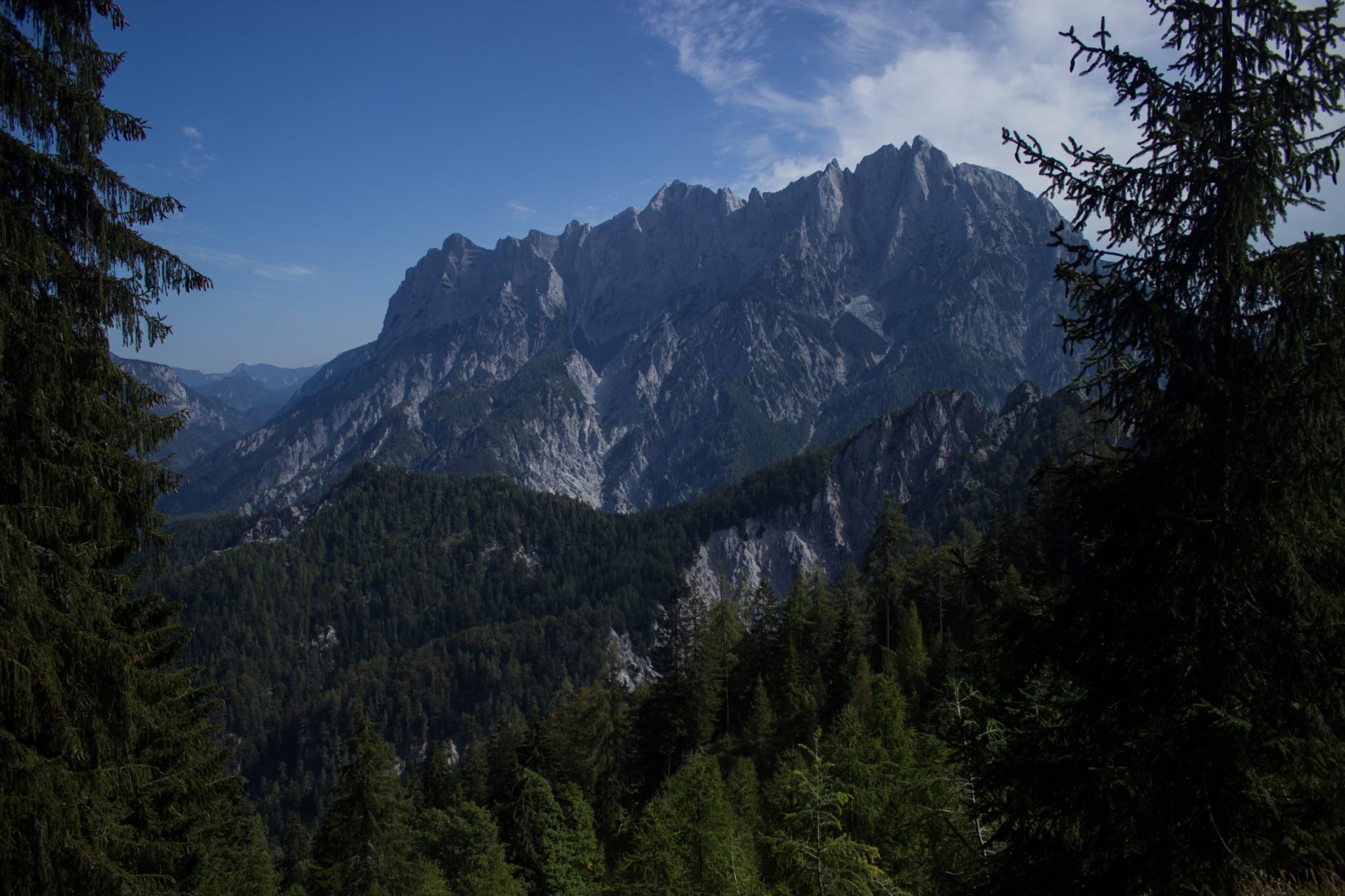 Wandern im Nationalpark Gesäuse - Rundweg mit Goferhütte im Bundesland Steiermark in Österreich, Wanderweg in den Ennstaler Alpen, Blick auf dichten Wald und die beeindruckende Bergwelt in der Ferne im Nationalpark Gesäuse