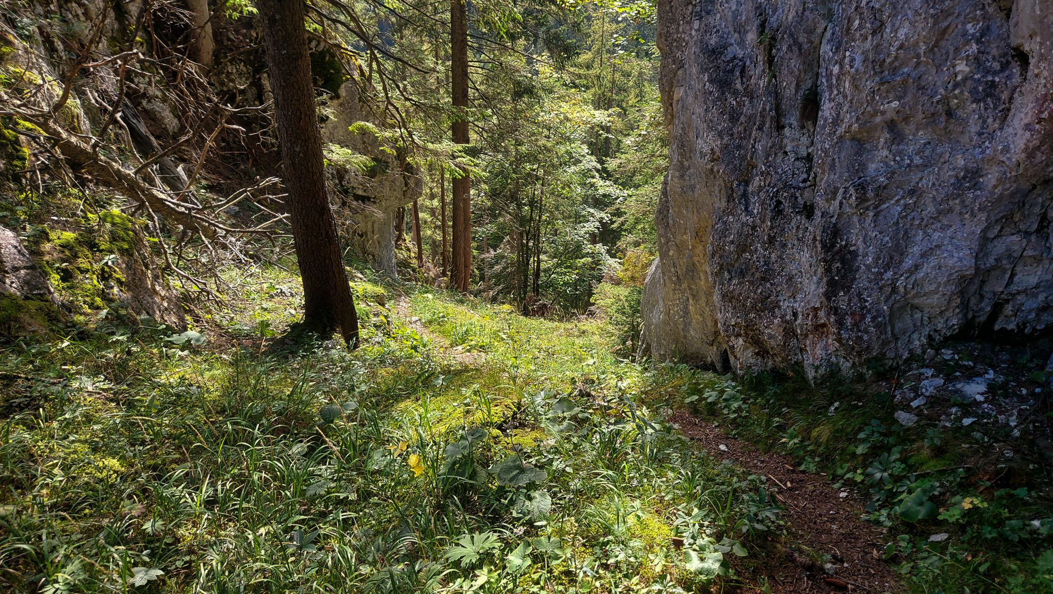 Wandern im Nationalpark Gesäuse - Rundweg mit Goferhütte im Bundesland Steiermark in Österreich, Wanderweg in den Ennstaler Alpen