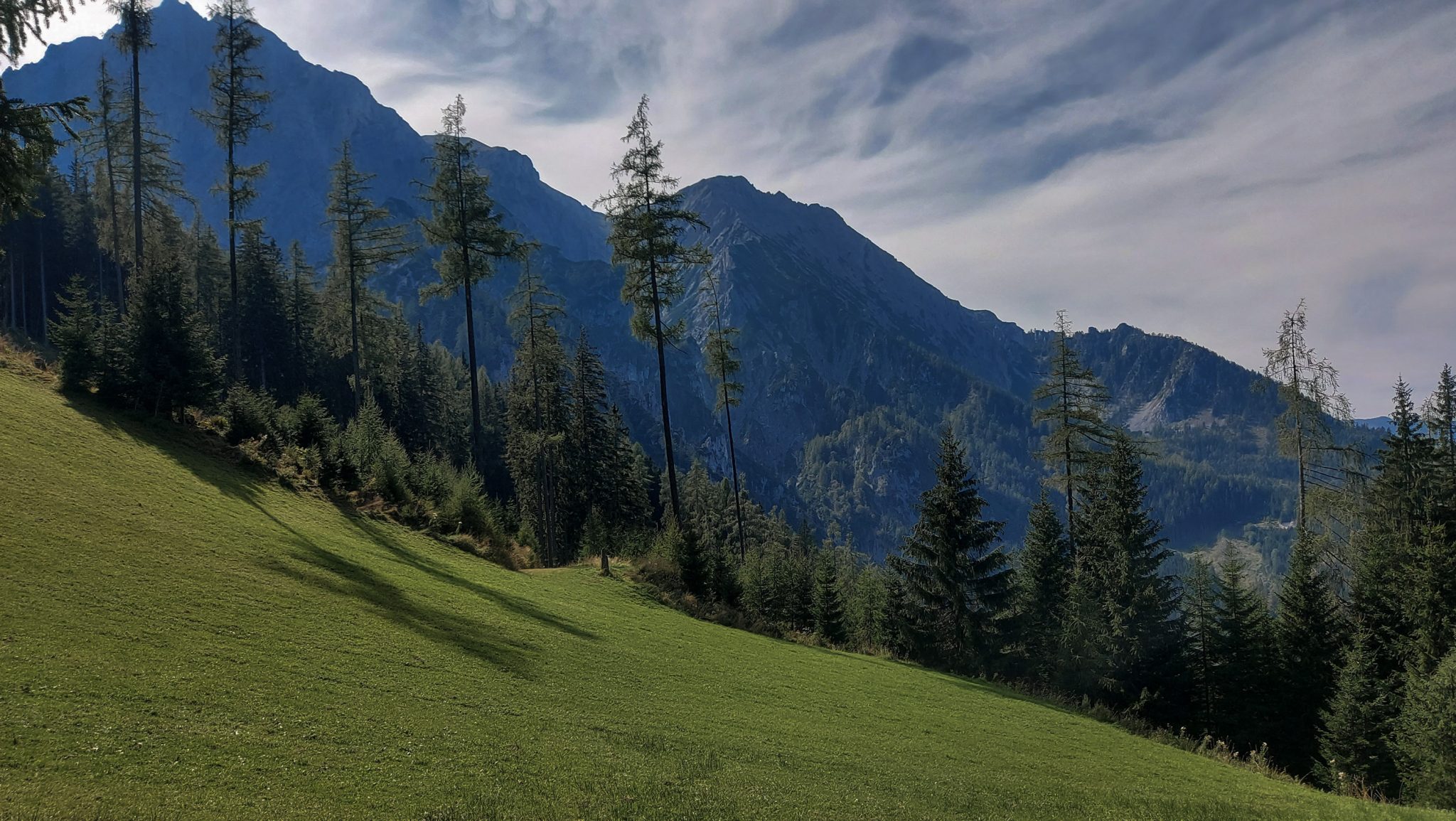 Wandern im Nationalpark Gesäuse - Rundweg mit Goferhütte im Bundesland Steiermark in Österreich, Wanderweg in den Ennstaler Alpen, nach Erreichen der Vordergoferalm geht es in Serpentinen runter ins Tal im Nationalpark Gesäuse, Blick auf die Bergwelt und saftig grüne Wiesen