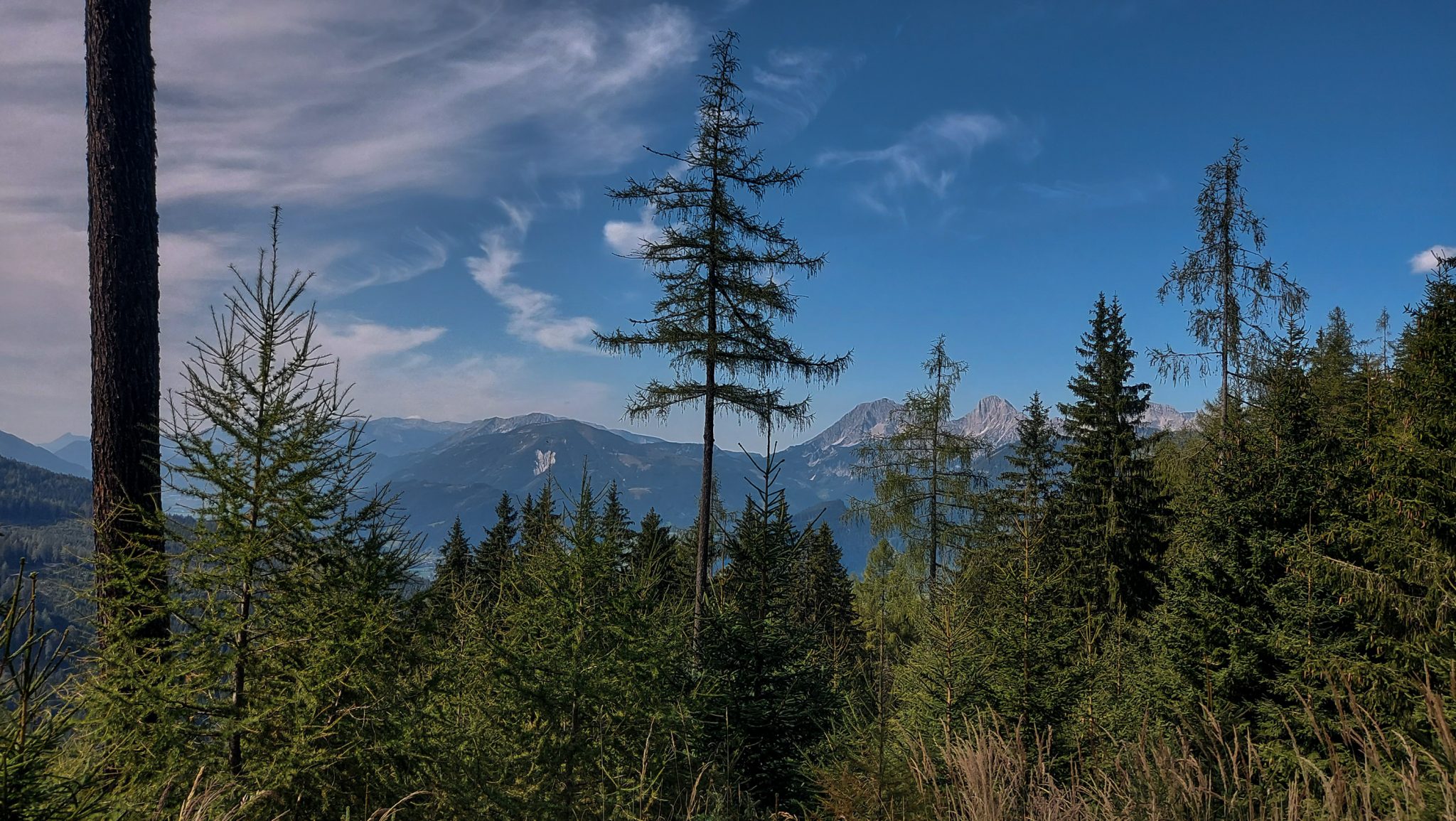 Wandern im Nationalpark Gesäuse - Rundweg mit Goferhütte im Bundesland Steiermark in Österreich, Wanderweg in den Ennstaler Alpen, nach Erreichen der Vordergoferalm geht es in Serpentinen runter ins Tal im Nationalpark Gesäuse, Blick auf die Bergwelt und Wälder