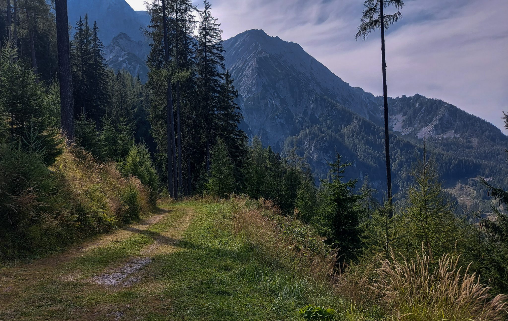 Wandern im Nationalpark Gesäuse - Rundweg mit Goferhütte im Bundesland Steiermark in Österreich, Wanderweg in den Ennstaler Alpen, nach Erreichen der Vordergoferalm geht es in Serpentinen runter ins Tal im Nationalpark Gesäuse, Blick auf die Bergwelt und Wälder