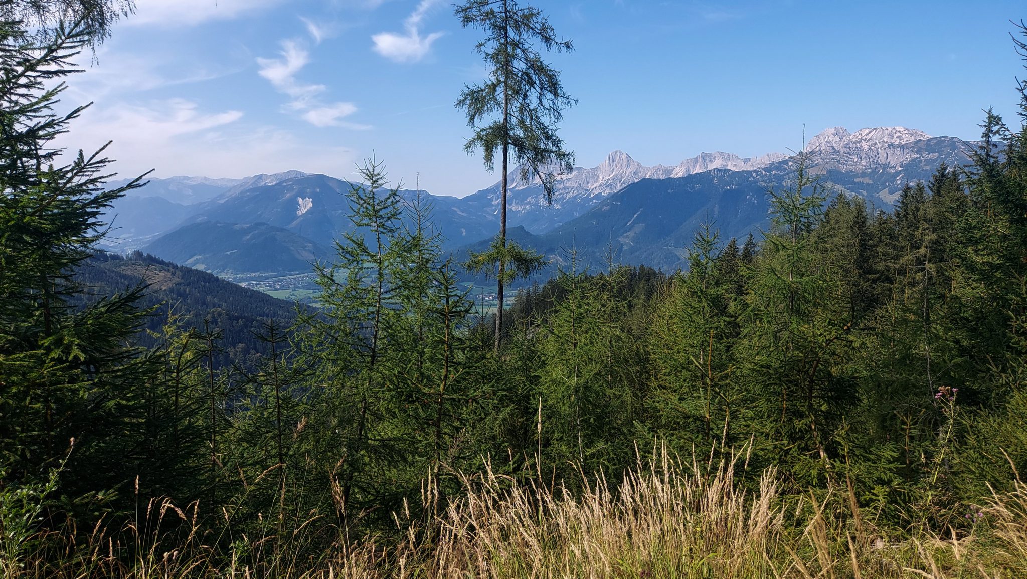 Wandern im Nationalpark Gesäuse - Rundweg mit Goferhütte im Bundesland Steiermark in Österreich, Wanderweg in den Ennstaler Alpen, nach Erreichen der Vordergoferalm geht es in Serpentinen runter ins Tal im Nationalpark Gesäuse, Blick auf die Bergwelt und Wälder