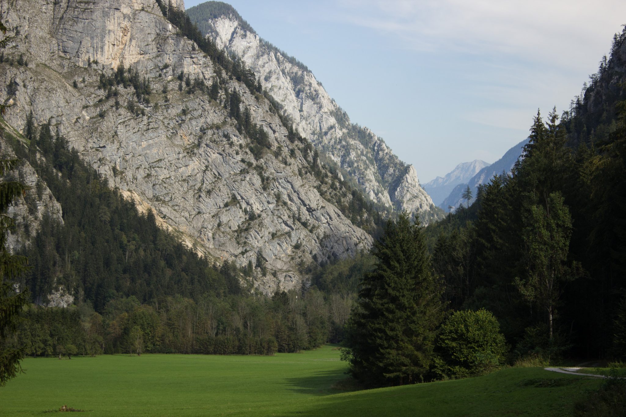 Wandern im Nationalpark Gesäuse - Rundweg mit Goferhütte im Bundesland Steiermark in Österreich, Wanderweg in den Ennstaler Alpen, nach Erreichen der Vordergoferalm geht es in Serpentinen runter ins Tal im Nationalpark Gesäuse, Wanderer auf Forststraße im Tal umgeben von Wald, saftig grünen Wiesen und steil aufragenden Bergen