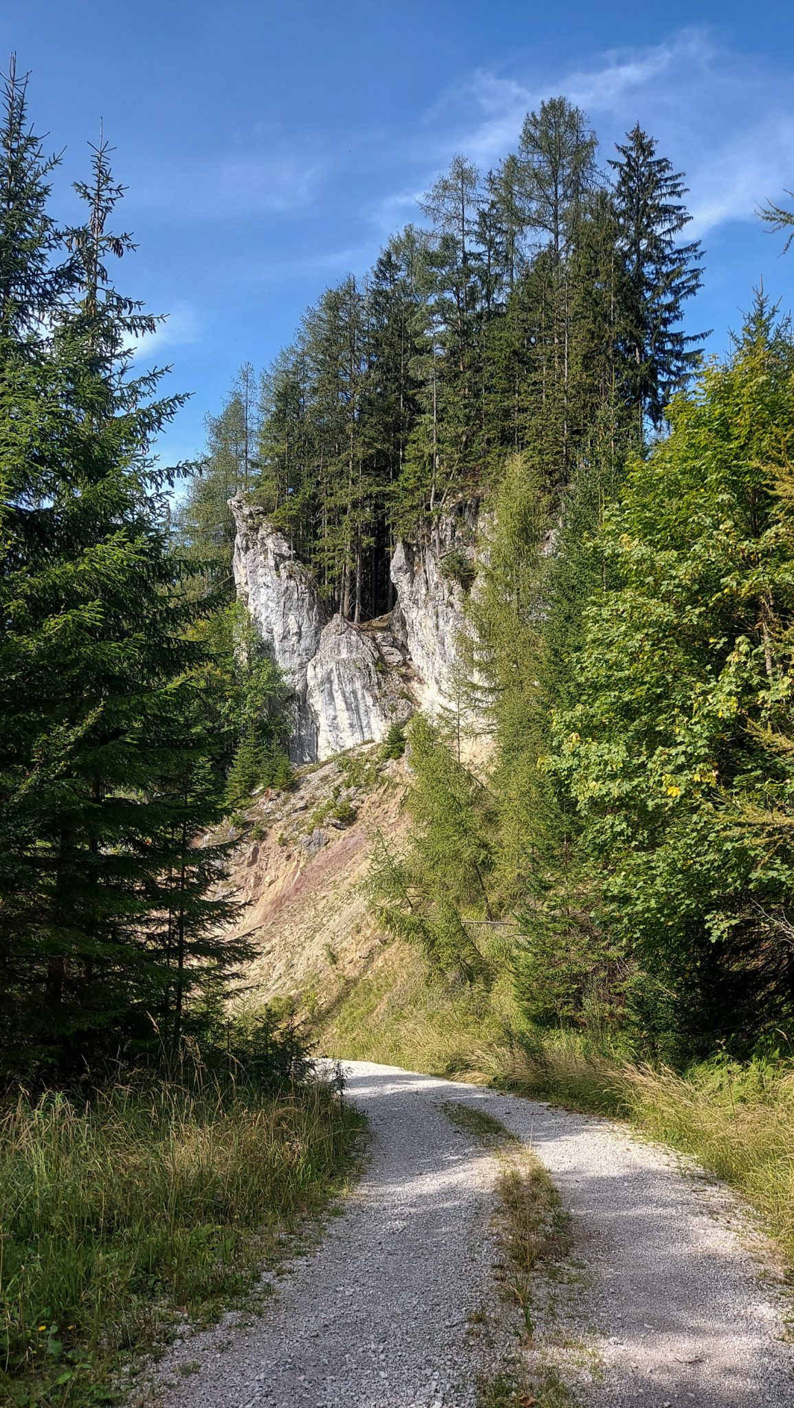 Wandern im Nationalpark Gesäuse - Rundweg mit Goferhütte im Bundesland Steiermark in Österreich, Wanderweg in den Ennstaler Alpen, nach Erreichen der Vordergoferalm geht es in Serpentinen runter ins Tal im Nationalpark Gesäuse, Wanderer auf Forststraße im Tal umgeben von Wald und Felsen
