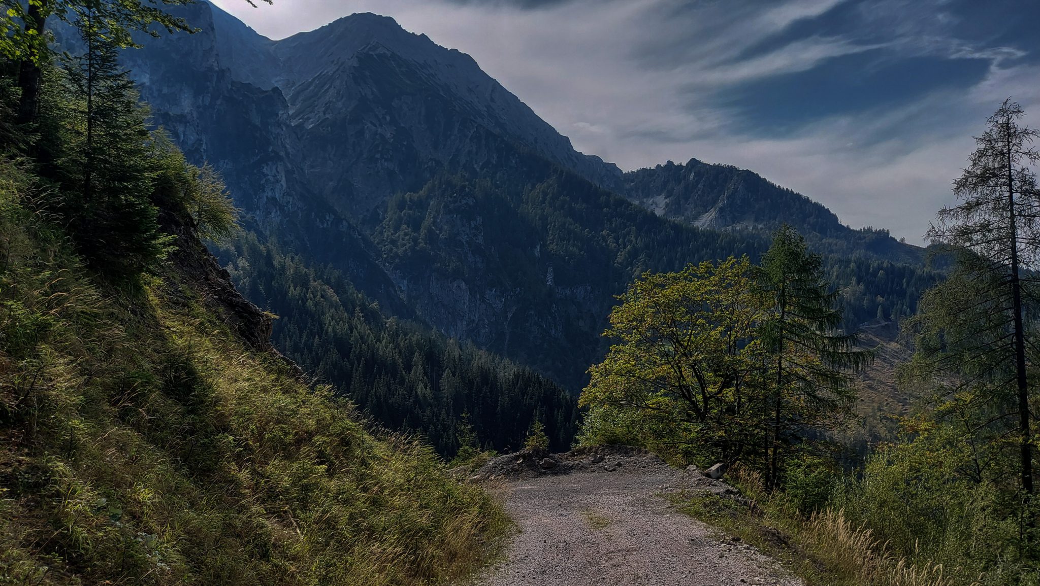 Wandern im Nationalpark Gesäuse - Rundweg mit Goferhütte im Bundesland Steiermark in Österreich, Wanderweg in den Ennstaler Alpen, nach Erreichen der Vordergoferalm geht es in Serpentinen runter ins Tal im Nationalpark Gesäuse, Wanderer auf Forststraße umgeben von Wald und Bergen