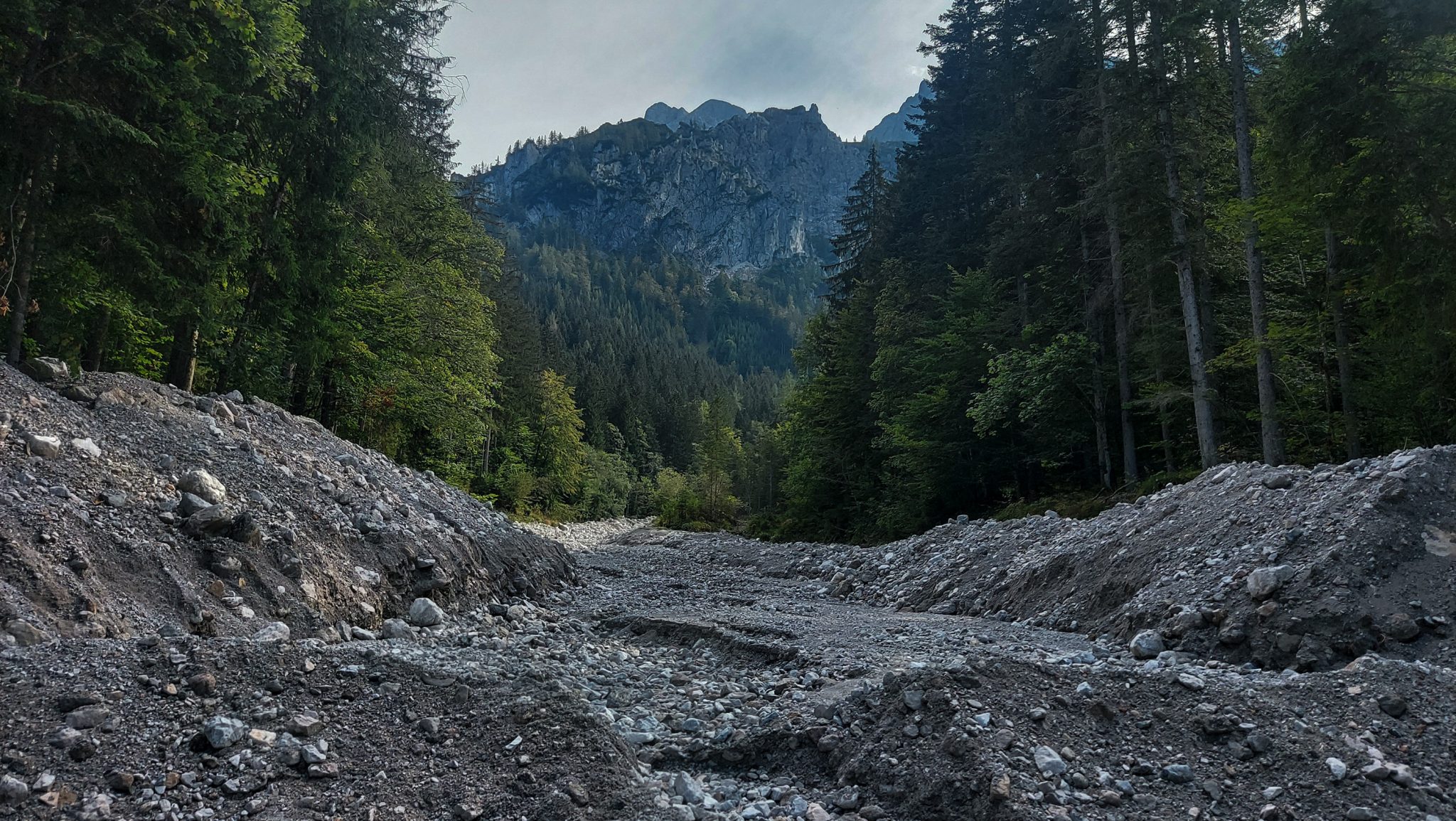 Wandern im Nationalpark Gesäuse - Rundweg mit Goferhütte im Bundesland Steiermark in Österreich, Wanderweg in den Ennstaler Alpen, Blick auf ausgetrockneten Graben im Nationalpark Gesäuse im Spätsommer, umgeben von dichtem Wald und Bergen in der Ferne