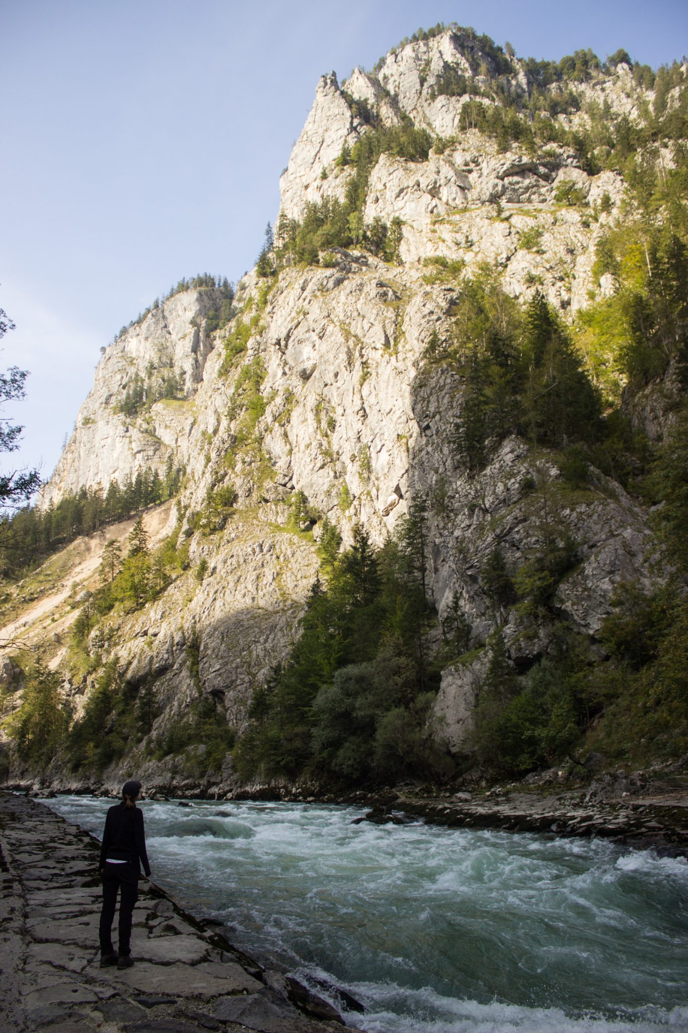 Wandern im Nationalpark Gesäuse - Rundweg mit Goferhütte im Bundesland Steiermark in Österreich, Wanderweg in den Ennstaler Alpen, nach Erreichen der Gesäuse Straße muss man einige hundert Meter an der Straße entlang, Möglichkeit einen Abstecher zum Fluss Enns zu machen, umgeben von dichtem Wald und steil aufragenden Felswänden