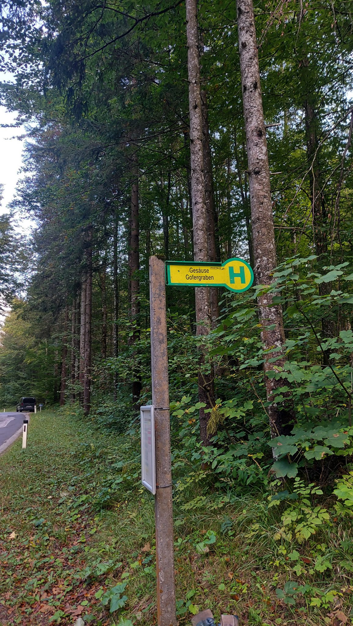 Wandern im Nationalpark Gesäuse - Rundweg mit Goferhütte im Bundesland Steiermark in Österreich, Wanderweg in den Ennstaler Alpen, Start und Ziel des Rundwegs bei der Haltestelle Gesäuse Gofergraben