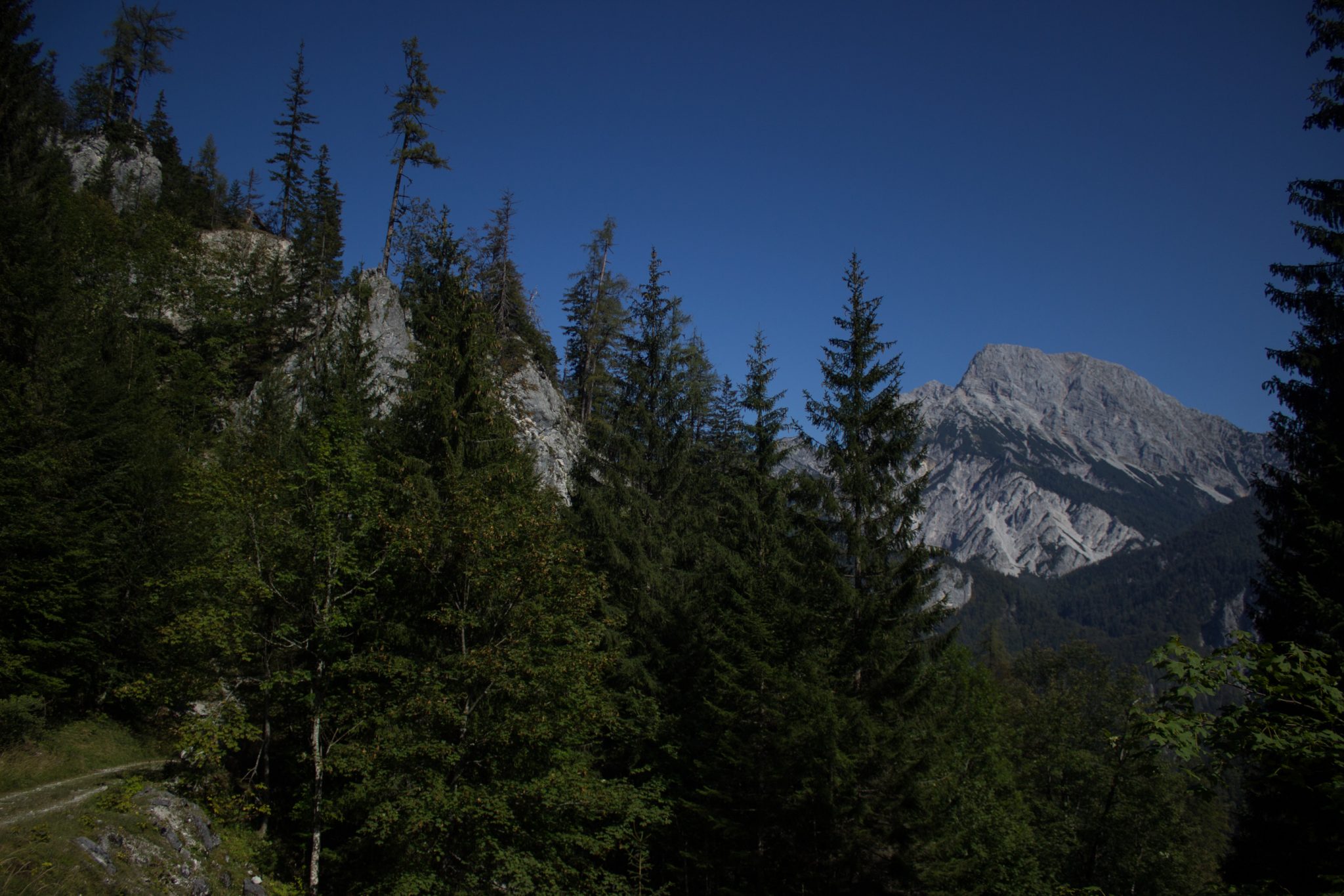 Wandern im Nationalpark Gesäuse - Rundweg mit Goferhütte im Bundesland Steiermark in Österreich, Wanderweg in den Ennstaler Alpen, mäßig steigender Wanderweg umgeben von dichtem Wald beim Gofergraben, Blick auf die Bergwelt im Nationalpark