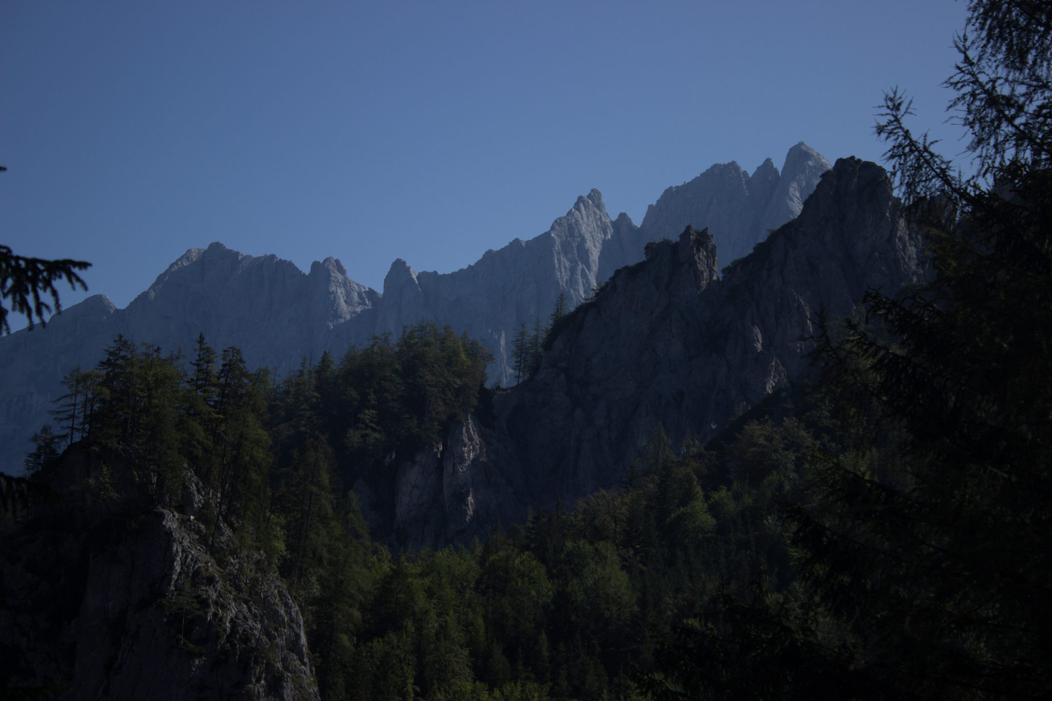 Wandern im Nationalpark Gesäuse - Rundweg mit Goferhütte im Bundesland Steiermark in Österreich, Wanderweg in den Ennstaler Alpen, Blick auf dichten Wald und die beeindruckende Bergwelt in der Ferne im Nationalpark Gesäuse