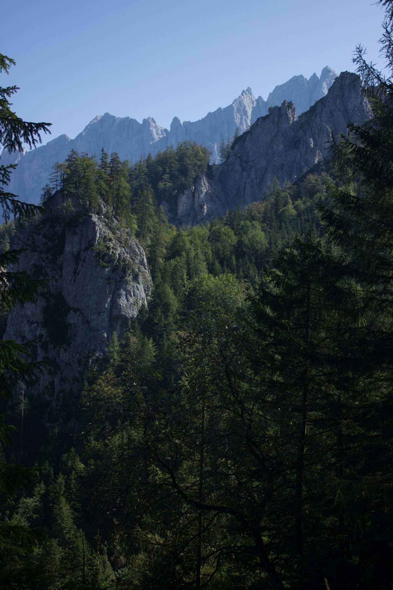 Wandern im Nationalpark Gesäuse - Rundweg mit Goferhütte im Bundesland Steiermark in Österreich, Wanderweg in den Ennstaler Alpen, Blick auf dichten Wald und die beeindruckende Bergwelt in der Ferne im Nationalpark Gesäuse