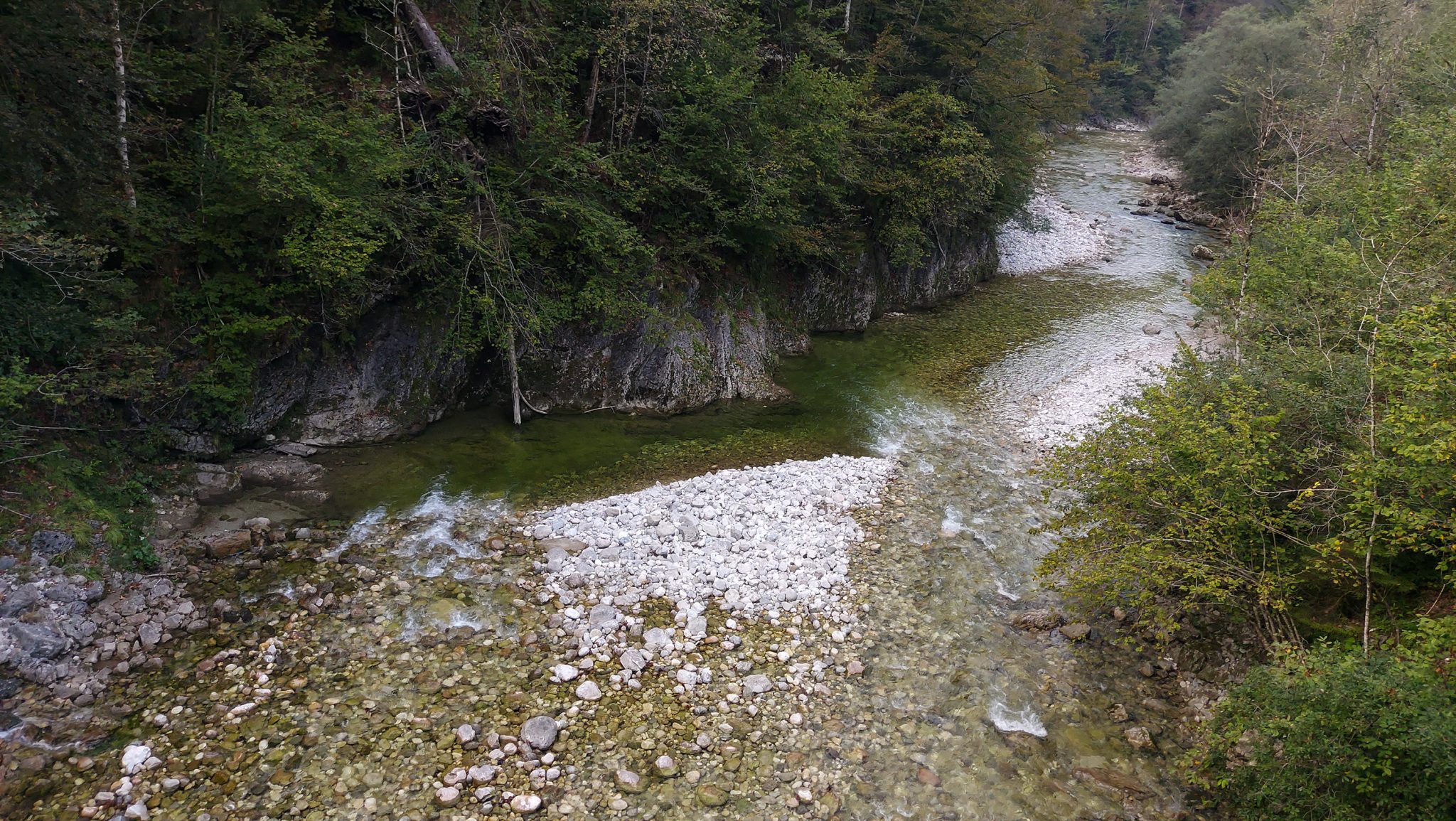 Wildnistrail Buchensteig im Nationalpark Kalkalpen, Wanderung im Reichraminger Hintergebirge, Abschnitt Wilder Graben bis Anzenbachschranken im Reichenbachtal, Buchenwald in Oberösterreich, unterwegs auf dem Wanderweg Buchensteig, umgeben von grünem und dichtem Wald, grüne Vegetation, sehr schöne Natur, Blick auf einen Bach