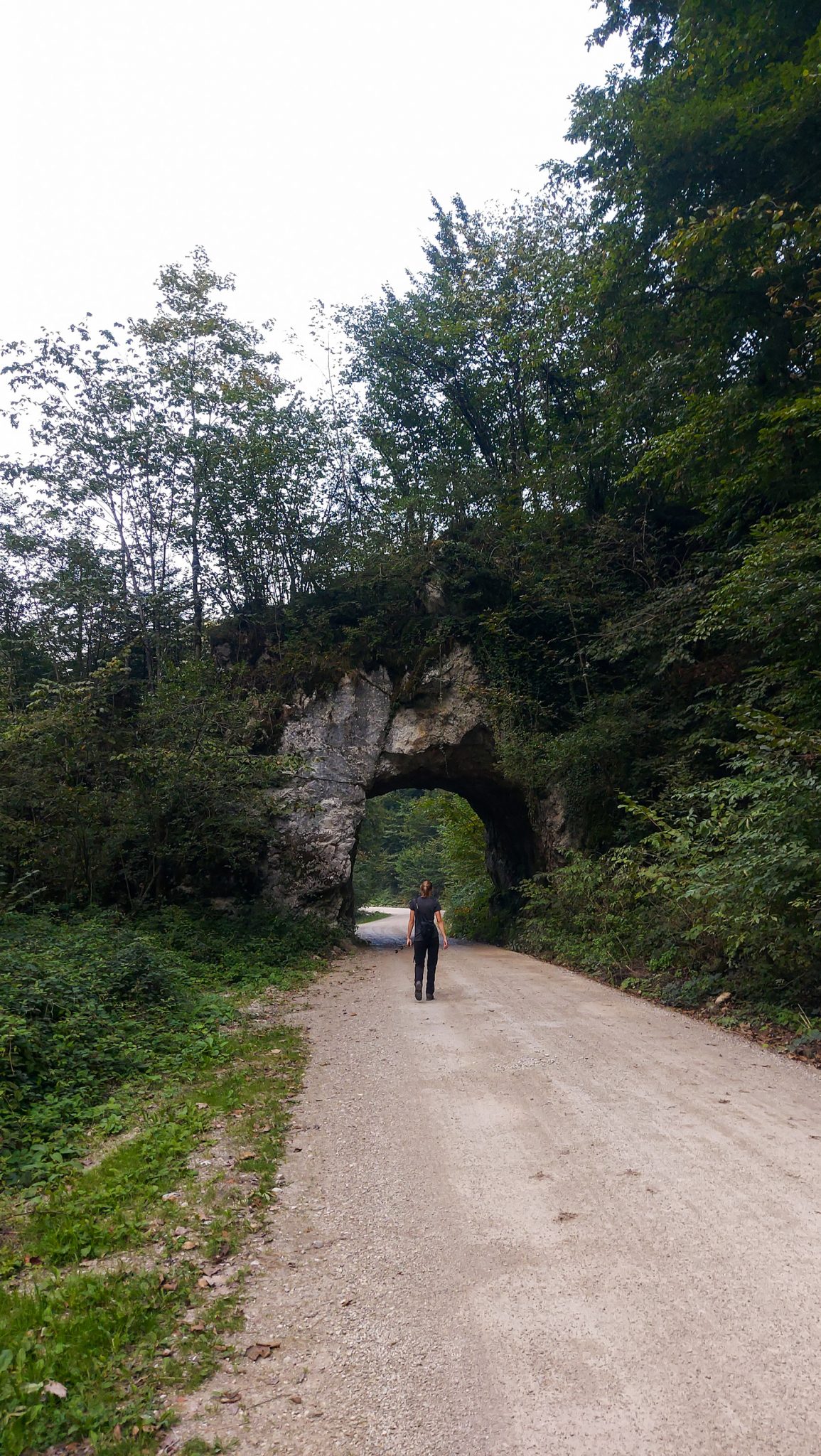 Wildnistrail Buchensteig im Nationalpark Kalkalpen, Wanderung im Reichraminger Hintergebirge, Abschnitt Wilder Graben bis Anzenbachschranken im Reichenbachtal, Buchenwald in Oberösterreich, unterwegs auf dem Wanderweg Buchensteig, umgeben von grünem und dichtem Wald, Wanderer unterwegs auf breitem Weg durch einen Felsen