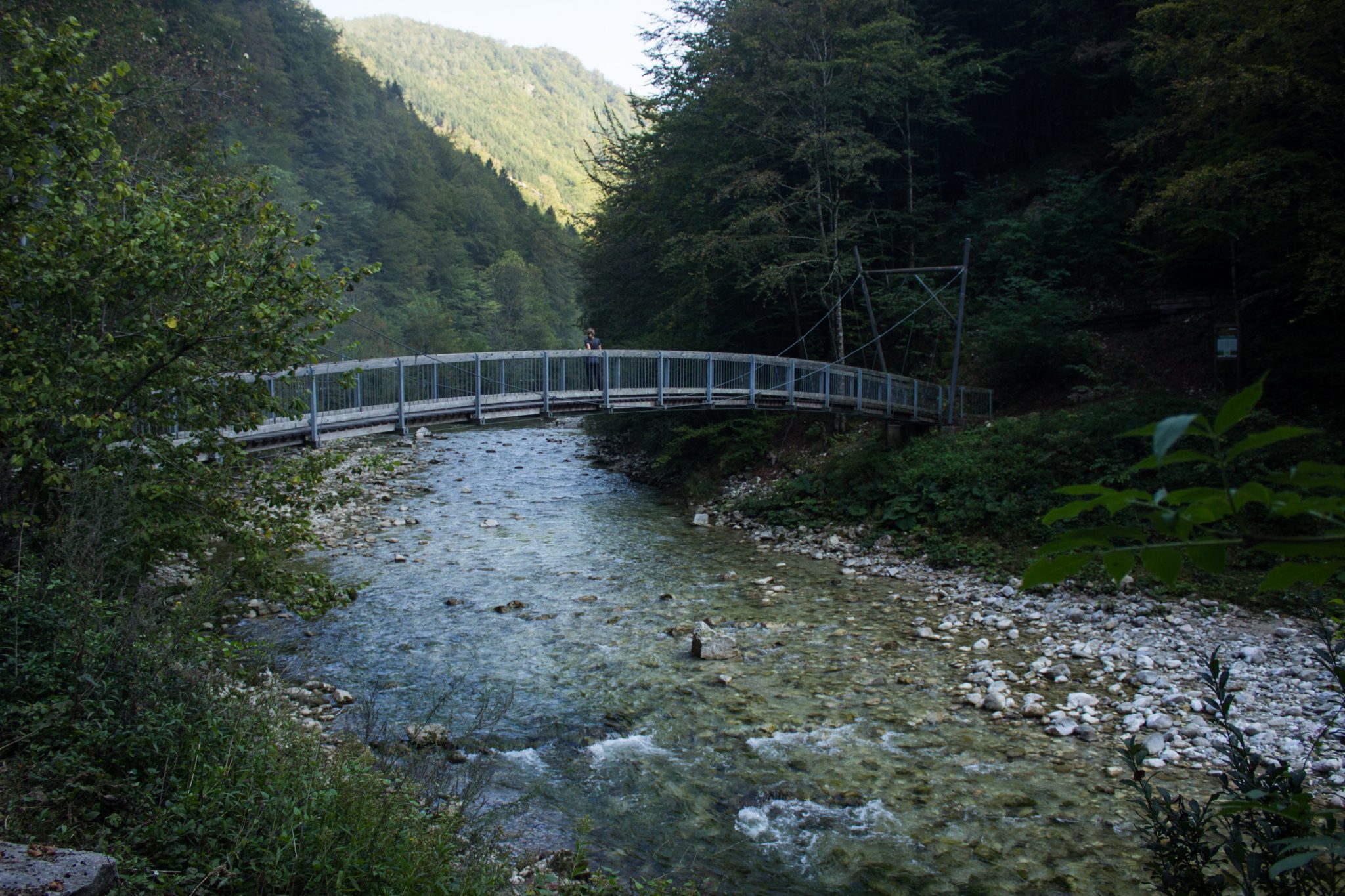Wildnistrail Buchensteig im Nationalpark Kalkalpen, Wanderung im Reichraminger Hintergebirge, Abschnitt Wilder Graben bis Anzenbachschranken im Reichenbachtal, Buchenwald in Oberösterreich, Wanderer steht auf Brücke und genießt Blick auf die Bergwelt und sehr klares und sauberes Wasser im Bach, umgeben von grünem und dichtem Wald, grüne Vegetation, sehr schöne Natur