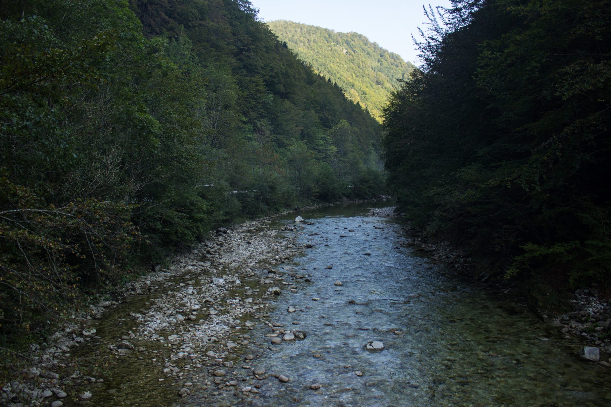 Wildnistrail Buchensteig im Nationalpark Kalkalpen, Wanderung im Reichraminger Hintergebirge, Abschnitt Wilder Graben bis Anzenbachschranken im Reichenbachtal, Buchenwald in Oberösterreich, Blick von einer Brücke auf die Bergwelt und sehr klares und sauberes Wasser im Bach, umgeben von grünem und dichtem Wald, grüne Vegetation, sehr schöne Natur