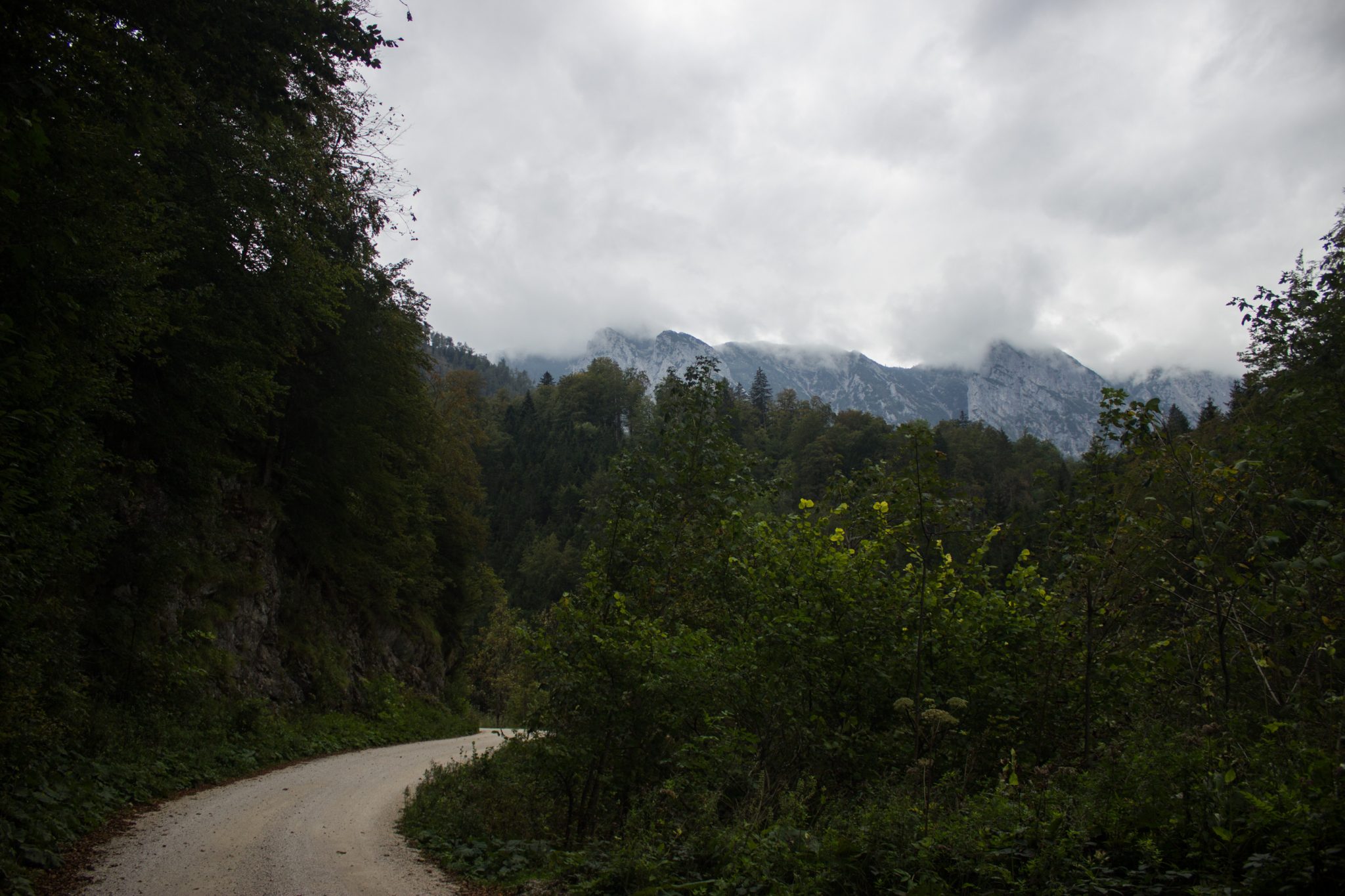 Wanderung beim Bodinggraben zur Schaumbergalm und Ebenforstalm ab Parkplatz Scheiblingau im Nationalpark Kalkalpen in Oberösterreich, Start der Wanderung in der Nähe von Molln, Wanderweg umgeben von dichtem Wald, Wolken hüllen die Berge in der Ferne ein