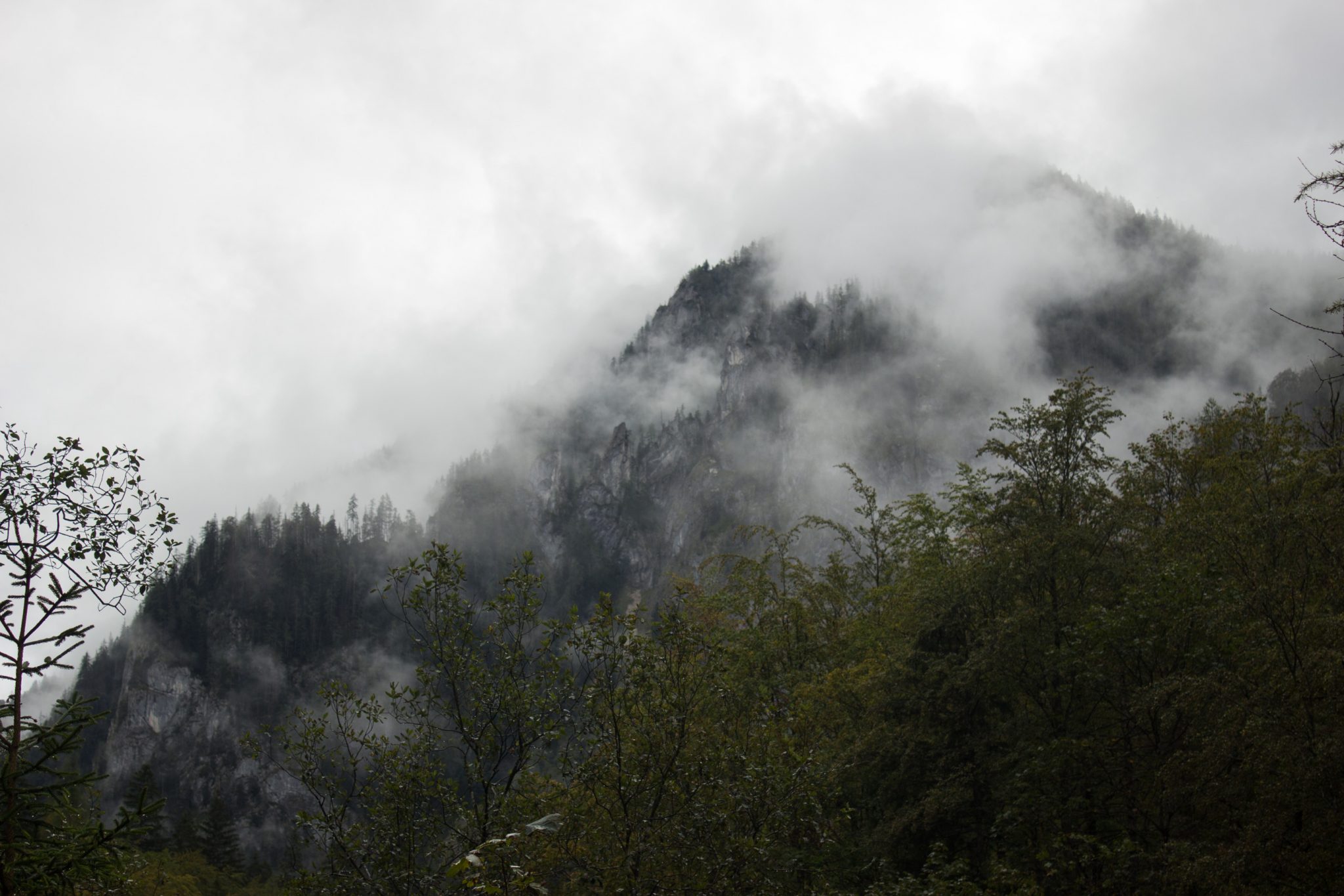 Wanderung beim Bodinggraben zur Schaumbergalm und Ebenforstalm ab Parkplatz Scheiblingau im Nationalpark Kalkalpen in Oberösterreich, Start der Wanderung in der Nähe von Molln, Aussicht auf dichten Wald und Berghänge, Wolken hüllen die Berge in der Ferne ein