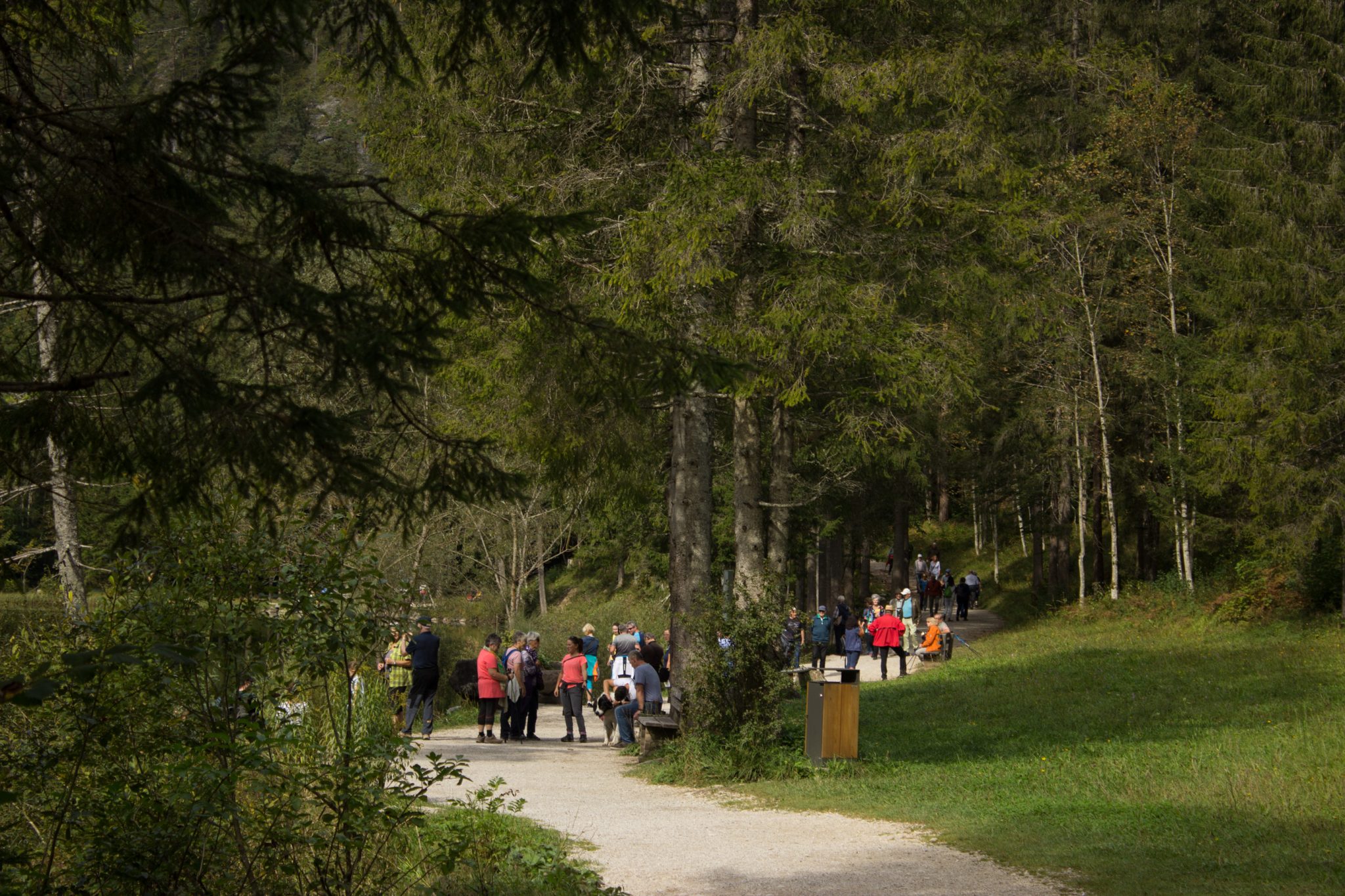 Wanderung zum Prielschutzhaus von Hinterstoder im Toten Gebirge, ab Parkplatz Schiederweiher führt der Wanderweg zunächst zum See Schiederweiher umgeben von schönem Wald, sehr viele Menschen sind unterwegs
