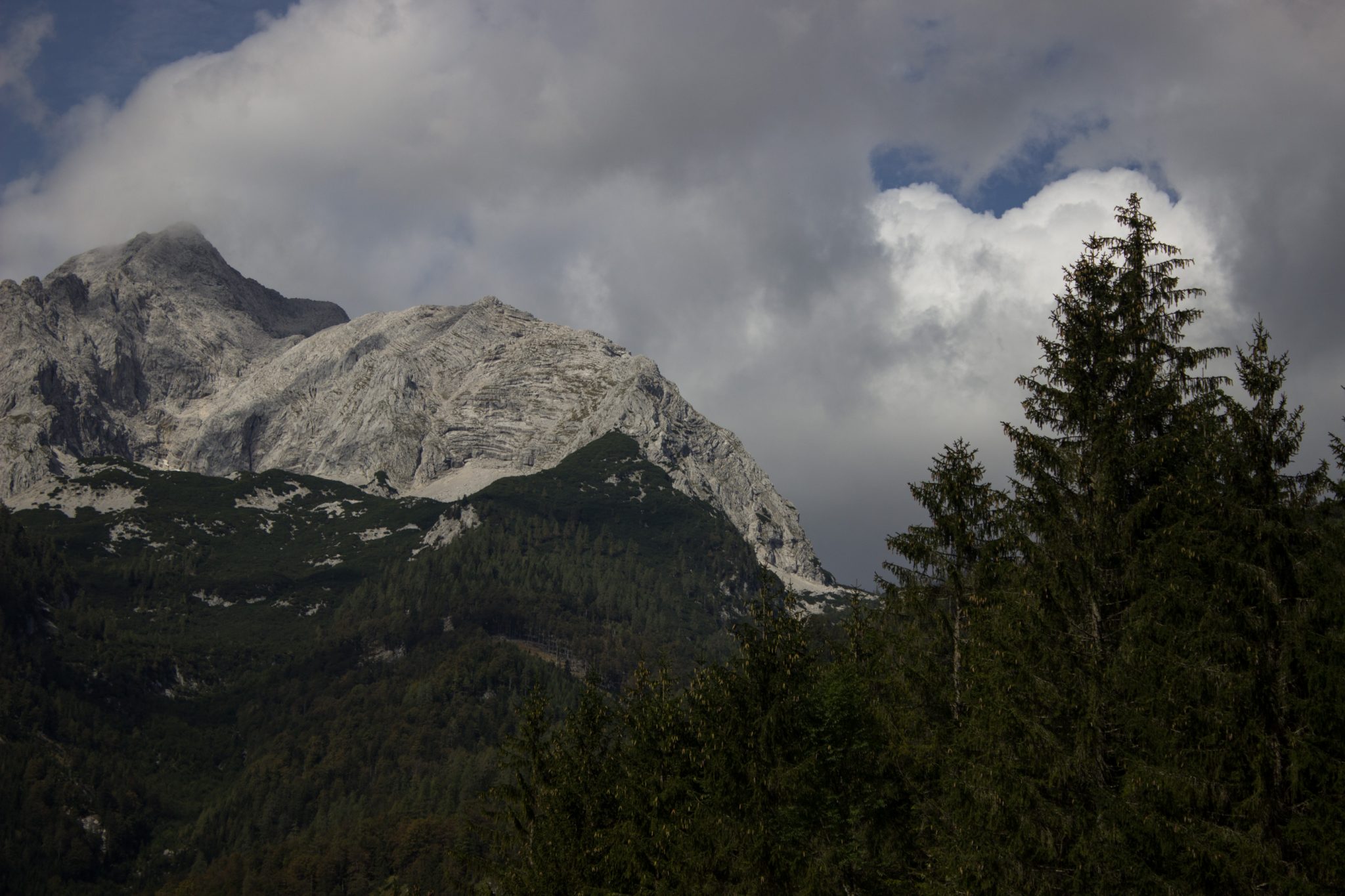 Wanderung zum Prielschutzhaus von Hinterstoder im Toten Gebirge in Oberösterreich, nach dem See Schiederweiher führt ein breiterer Wanderweg in Richtung der Berge mit herrlichen Aussichten auf den Hohen Priel und die anderen Berge des Toten Gebirges, von Wald umgeben