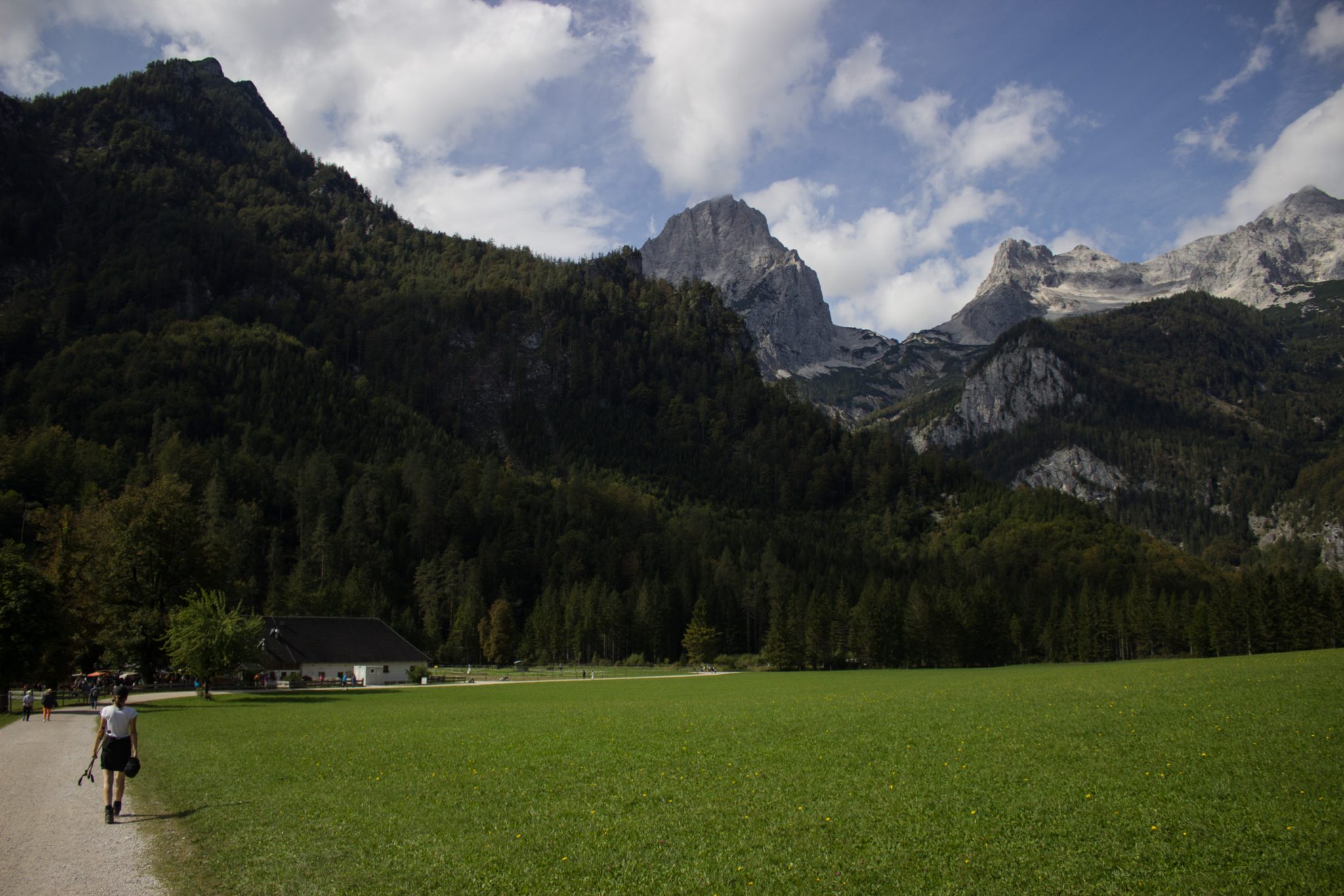 Wanderung zum Prielschutzhaus von Hinterstoder im Toten Gebirge in Oberösterreich, nach dem See Schiederweiher ist Wanderer unterwegs auf einem breiteren Wanderweg in Richtung der Berge mit herrlichen Aussichten auf den Hohen Priel und die anderen Berge des Toten Gebirges, von grünen Wiesen und Wald umgeben