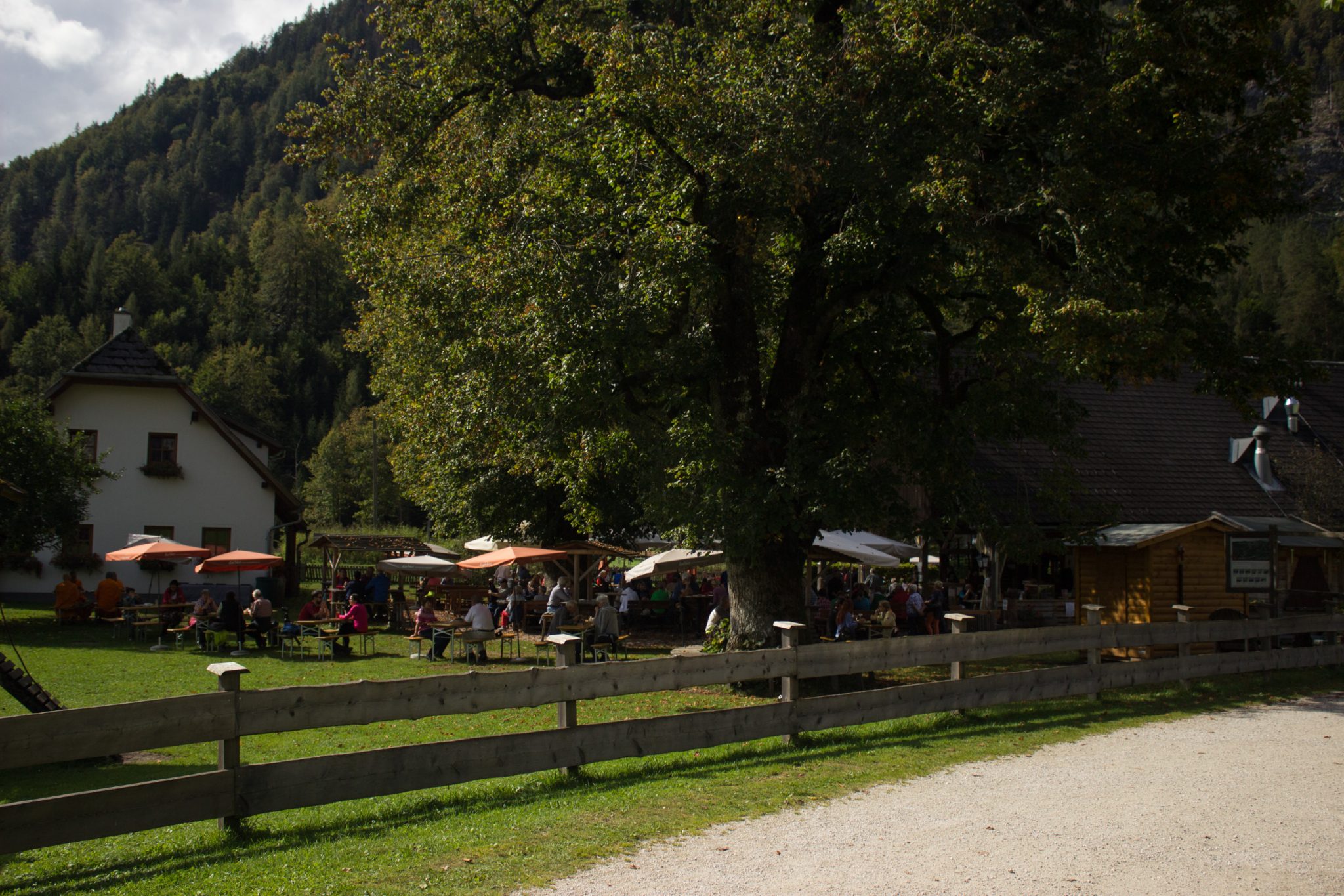 Wanderung zum Prielschutzhaus von Hinterstoder im Toten Gebirge in Oberösterreich, nach dem See Schiederweiher führt ein breiterer Wanderweg in Richtung der Berge des Toten Gebirges, von grünen Wiesen und Wald umgeben, nach vollem Restaurant sind die Wanderwege abrupt leer