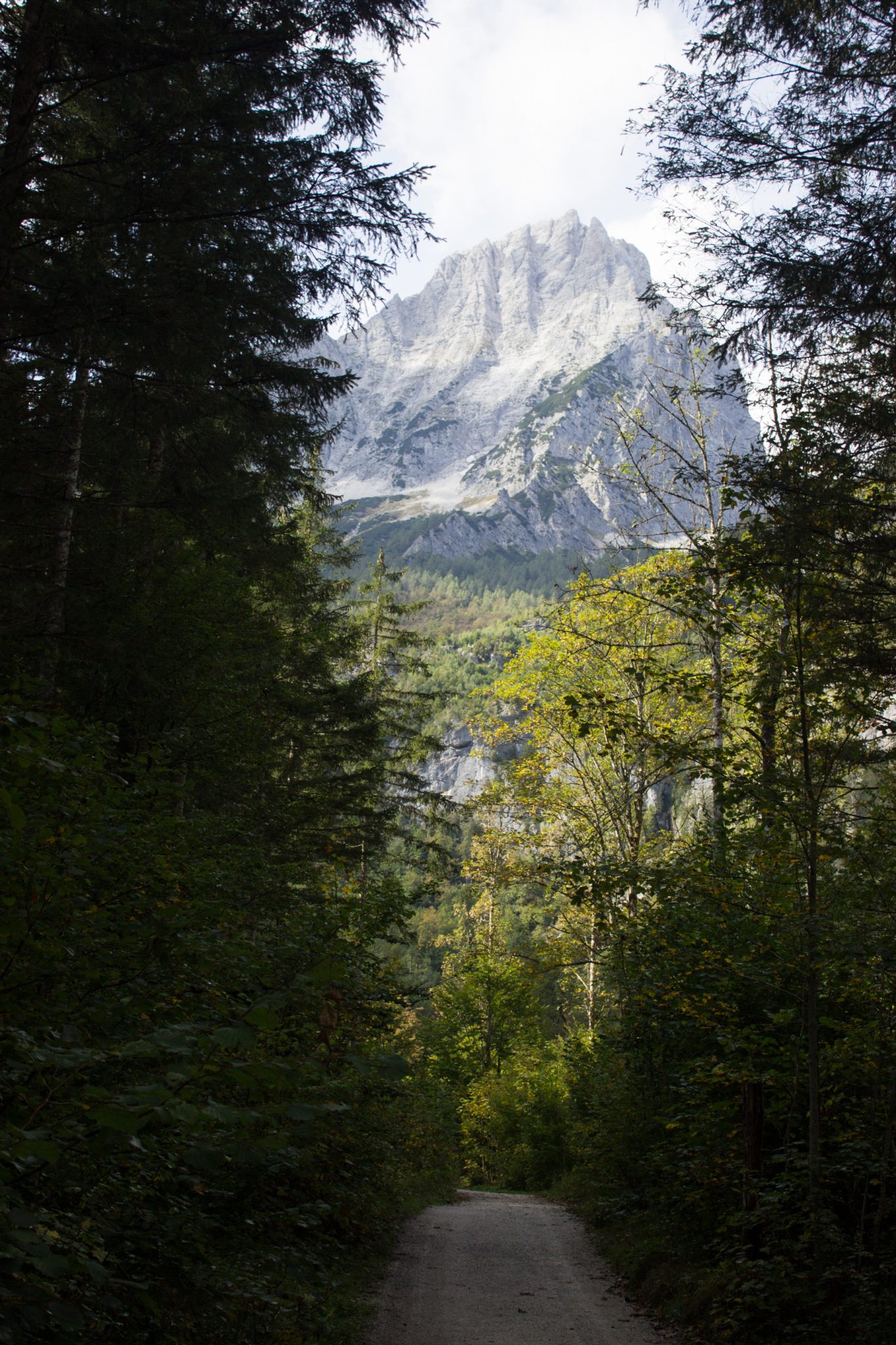 Wanderung zum Prielschutzhaus von Hinterstoder im Toten Gebirge in Oberösterreich, nach dem See Schiederweiher führt ein breiterer Wanderweg in Richtung der Berge mit herrlichen Aussichten auf den Hohen Priel und die anderen Berge des Toten Gebirges, von dichtem Wald umgeben