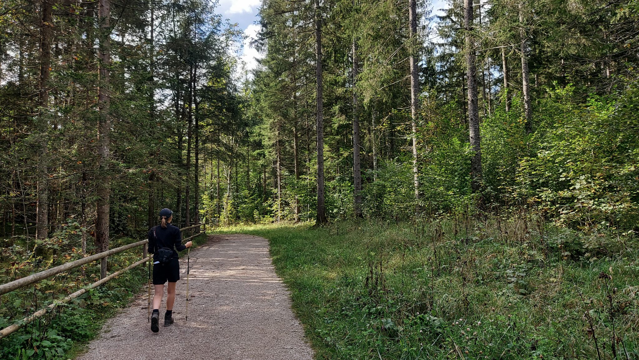Wanderung zum Prielschutzhaus von Hinterstoder im Toten Gebirge in Oberösterreich, nach dem See Schiederweiher führt ein breiterer Wanderweg in Richtung der Berge des Toten Gebirges, Wanderer unterwegs zum Prielschutzhaus umgeben von dichtem Wald