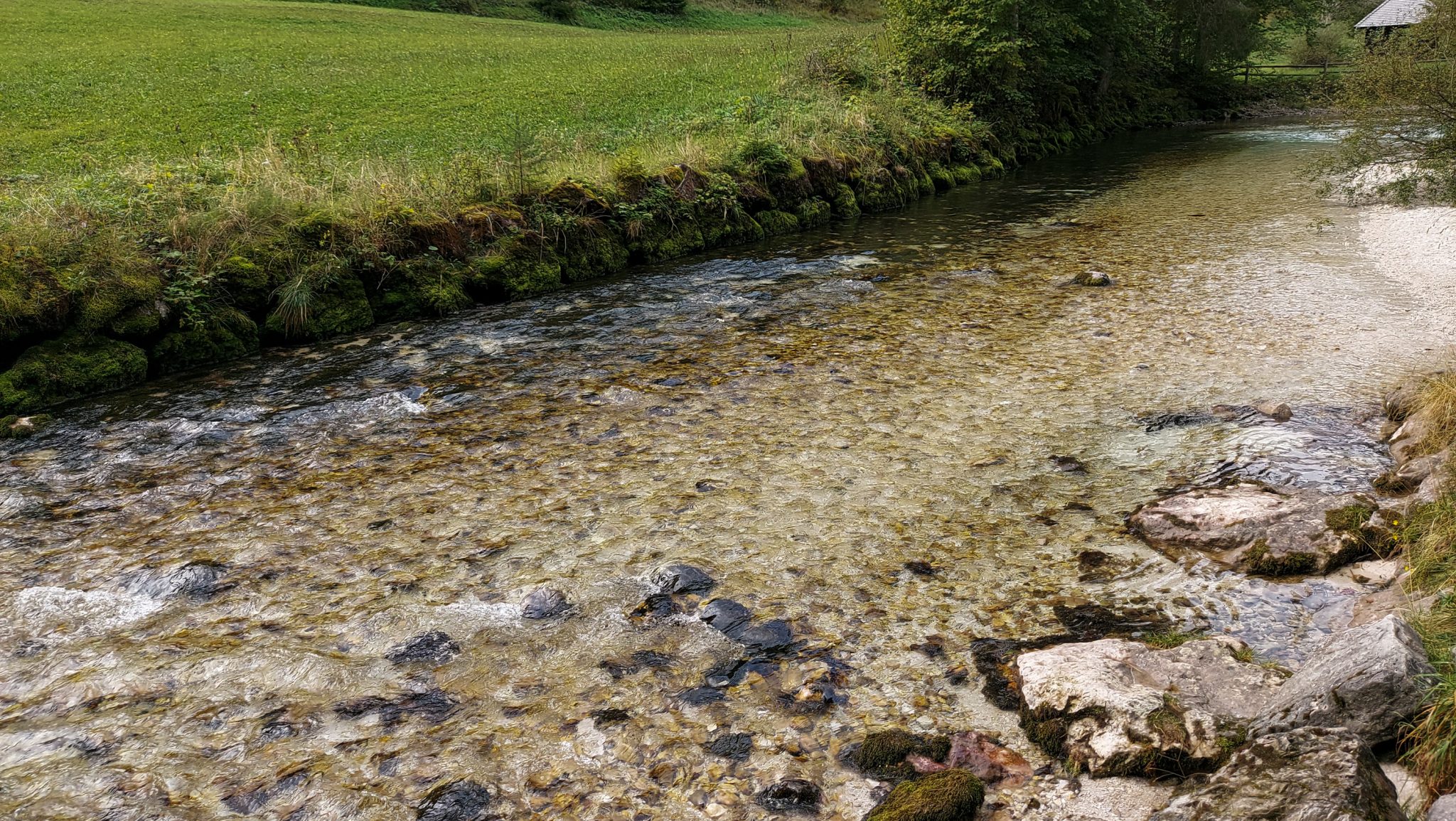 Wanderung zum Prielschutzhaus von Hinterstoder im Toten Gebirge in Oberösterreich, ab Parkplatz Schiederweiher in Hinterstoder führt der Wanderweg entlang der Steyr und der Krummen Steyr zum Schiederweiher, Fluss hat sehr klares Wasser und ist von Wiesen und Wald umgeben