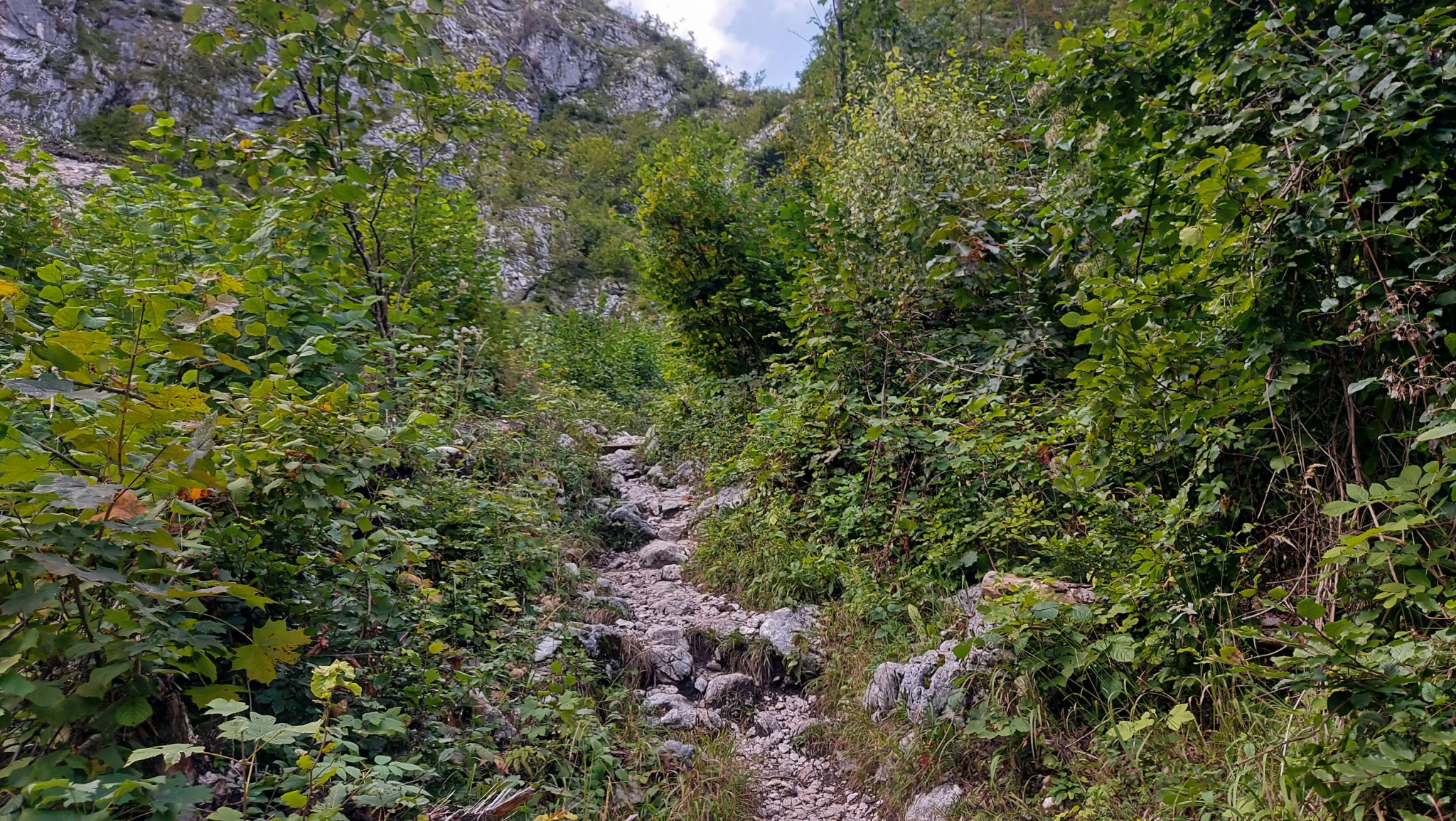 Wanderung zum Prielschutzhaus von Hinterstoder im Toten Gebirge in Oberösterreich, nach ebenem Wanderweg wird der Pfad ab Erreichen der vor einem liegenden Bergkette steil und bleibt dies bis zum Erreichen des Prielschutzhauses, erfordert einiges an Kondition, umgeben von dichter Vegetation