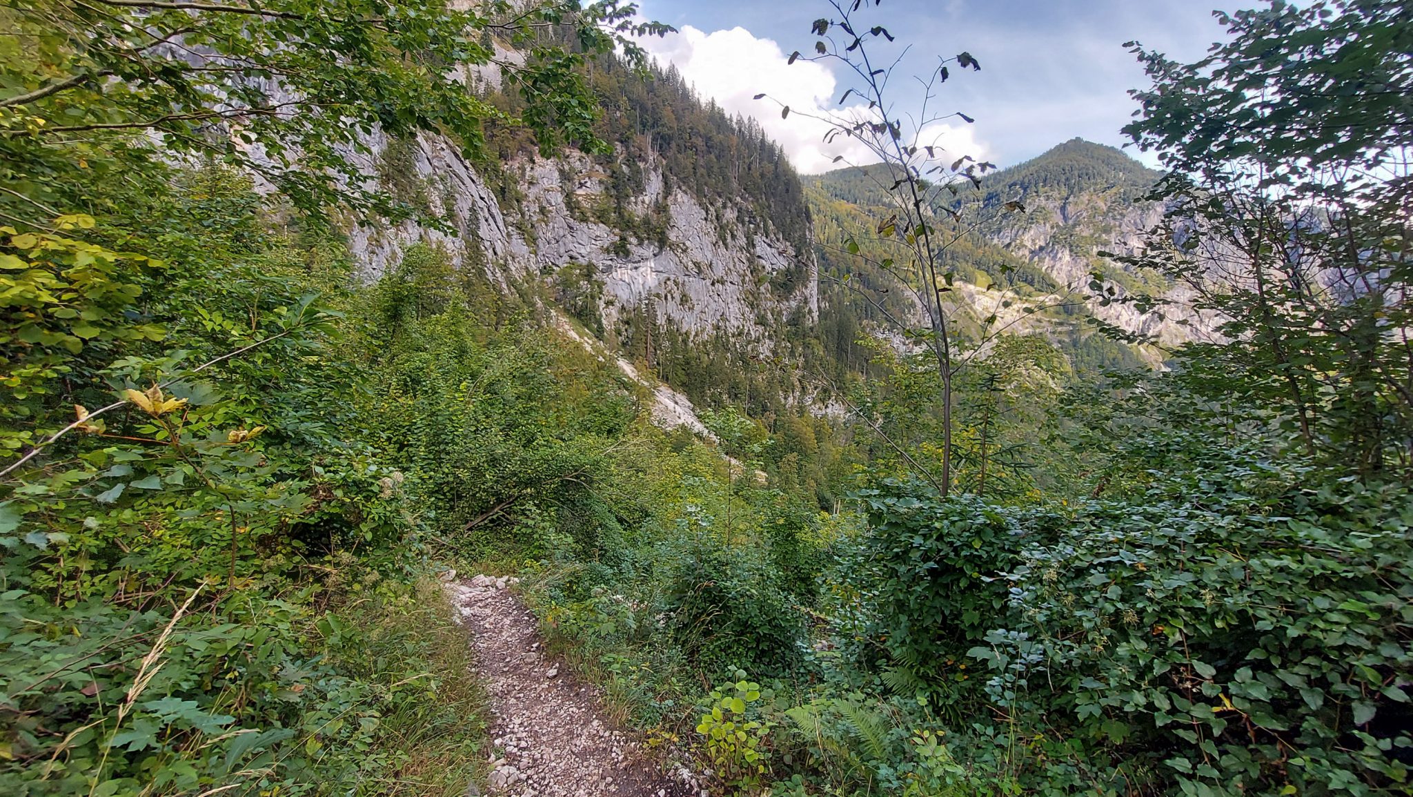 Wanderung zum Prielschutzhaus von Hinterstoder im Toten Gebirge in Oberösterreich, nach ebenem Wanderweg wird der Pfad ab Erreichen der vor einem liegenden Bergkette steil und bleibt dies bis zum Erreichen des Prielschutzhauses, erfordert einiges an Kondition, umgeben von dichter Vegetation