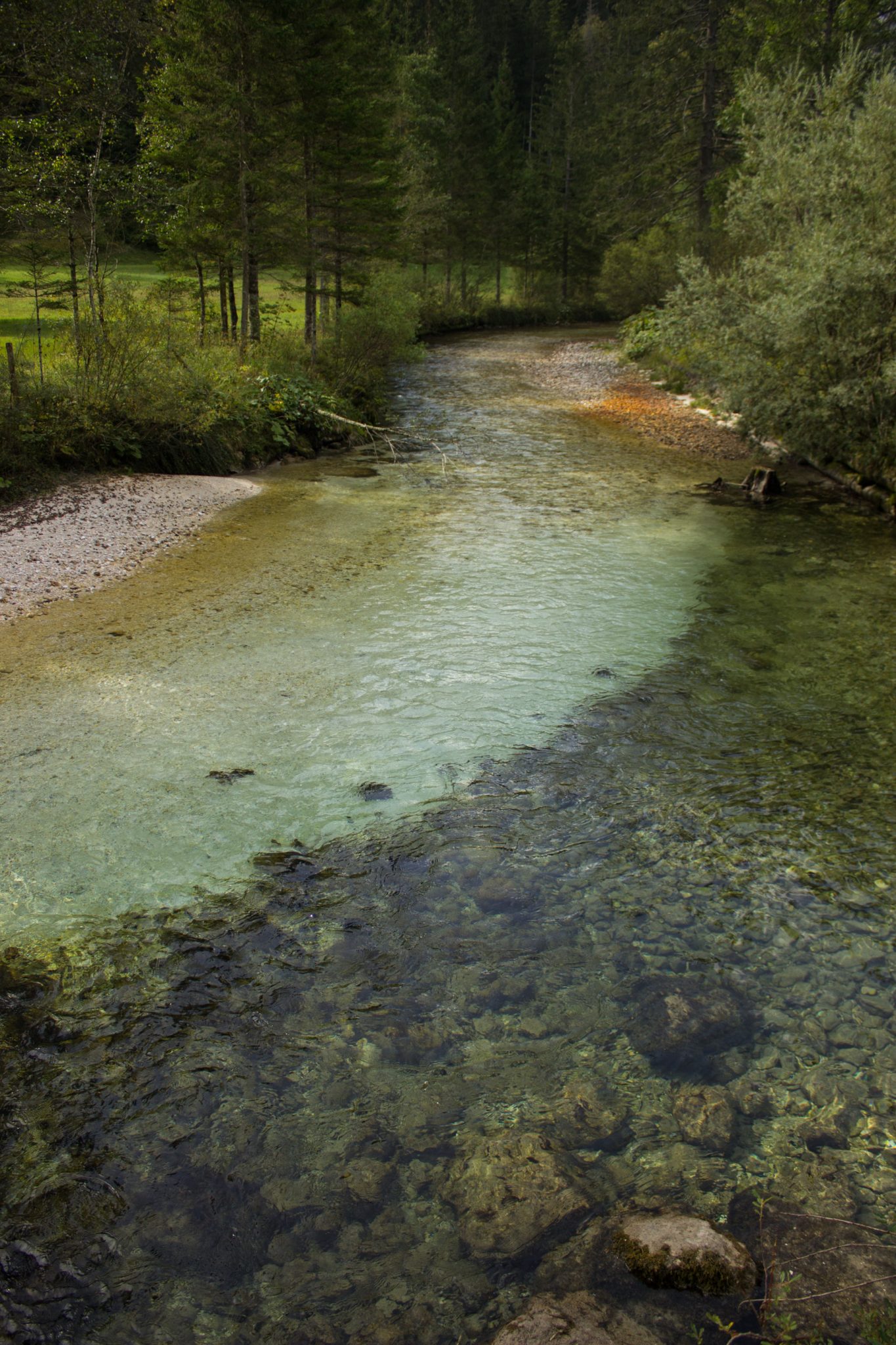 Wanderung zum Prielschutzhaus von Hinterstoder im Toten Gebirge in Oberösterreich, ab Parkplatz Schiederweiher in Hinterstoder führt der Wanderweg entlang der Steyr und der Krummen Steyr zum Schiederweiher, Fluss hat sehr klares Wasser und von grünen Wiesen und Wald umgeben